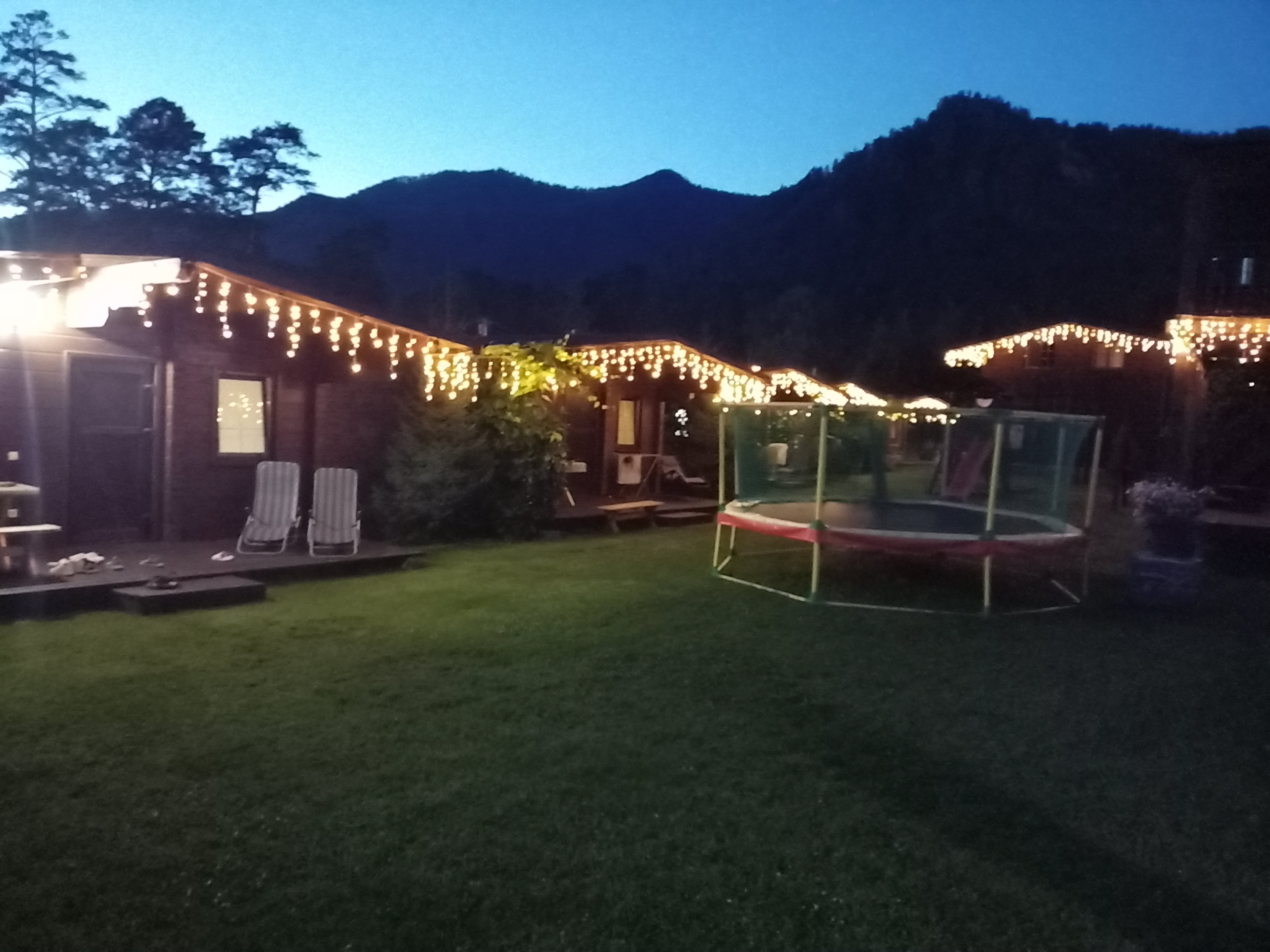 Фото Медведь и Ягодка