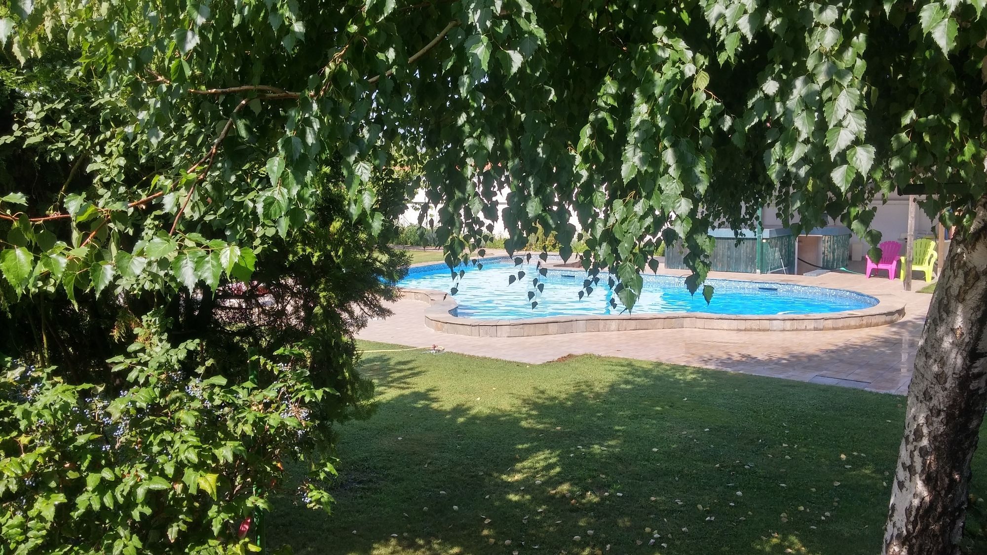 Фото Galeria In The Garden