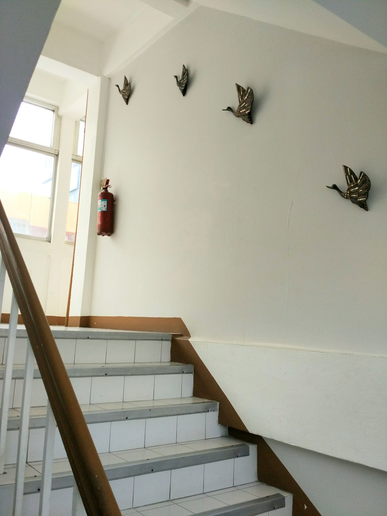 Фото White Lodge