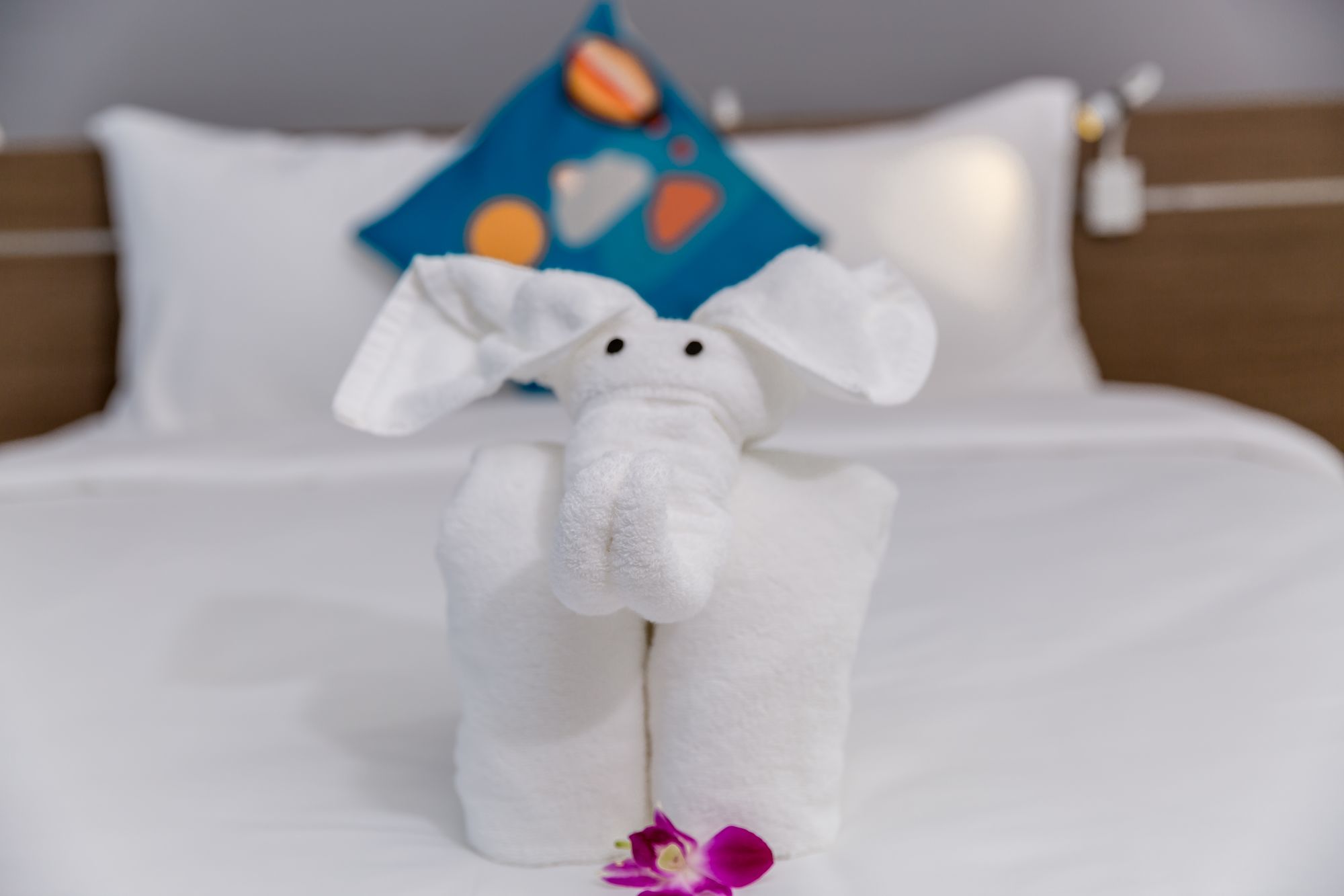 Фото Raon Danang Beach