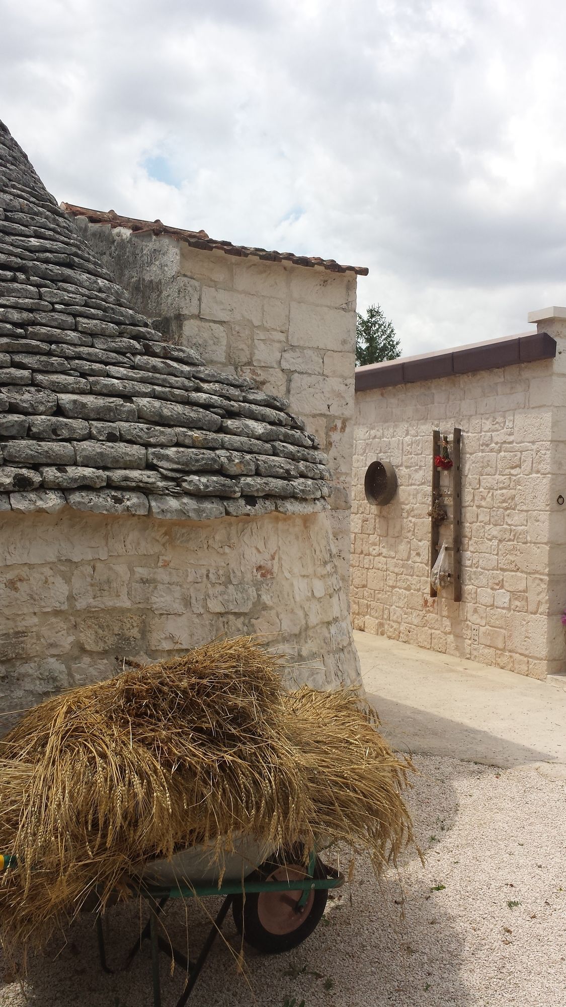 Фото Masseria Gianca