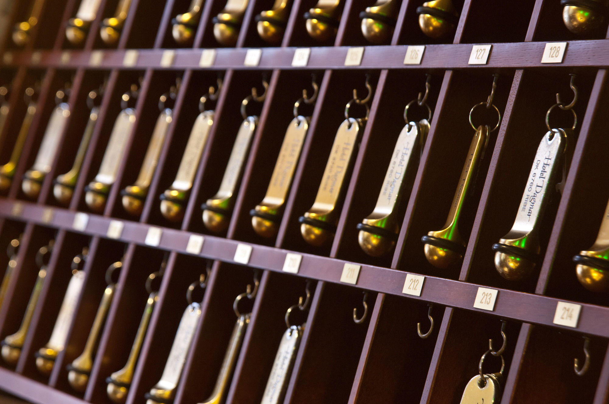 Фото Hotel Dagmar