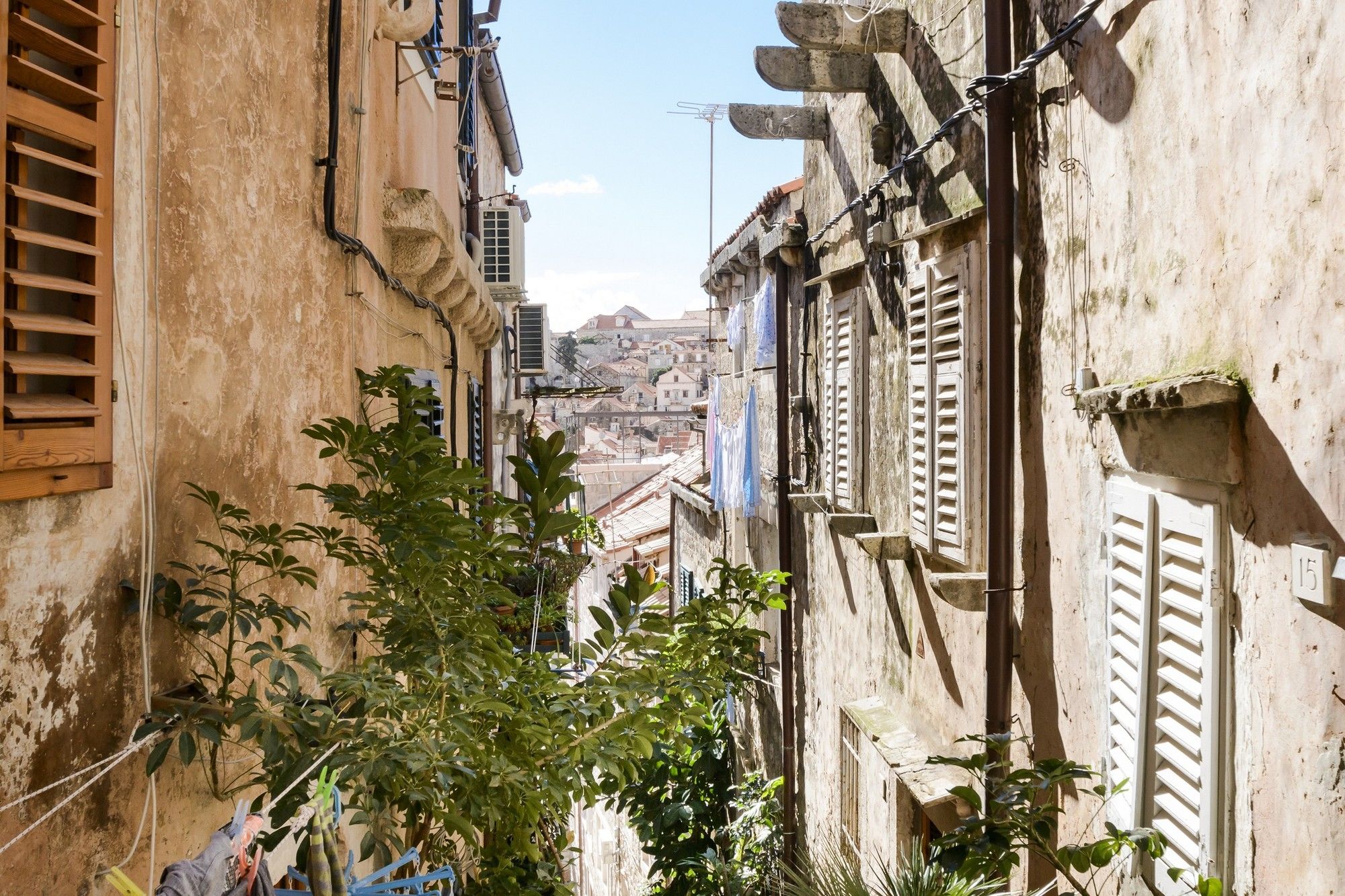 Фото Apartments Plaza