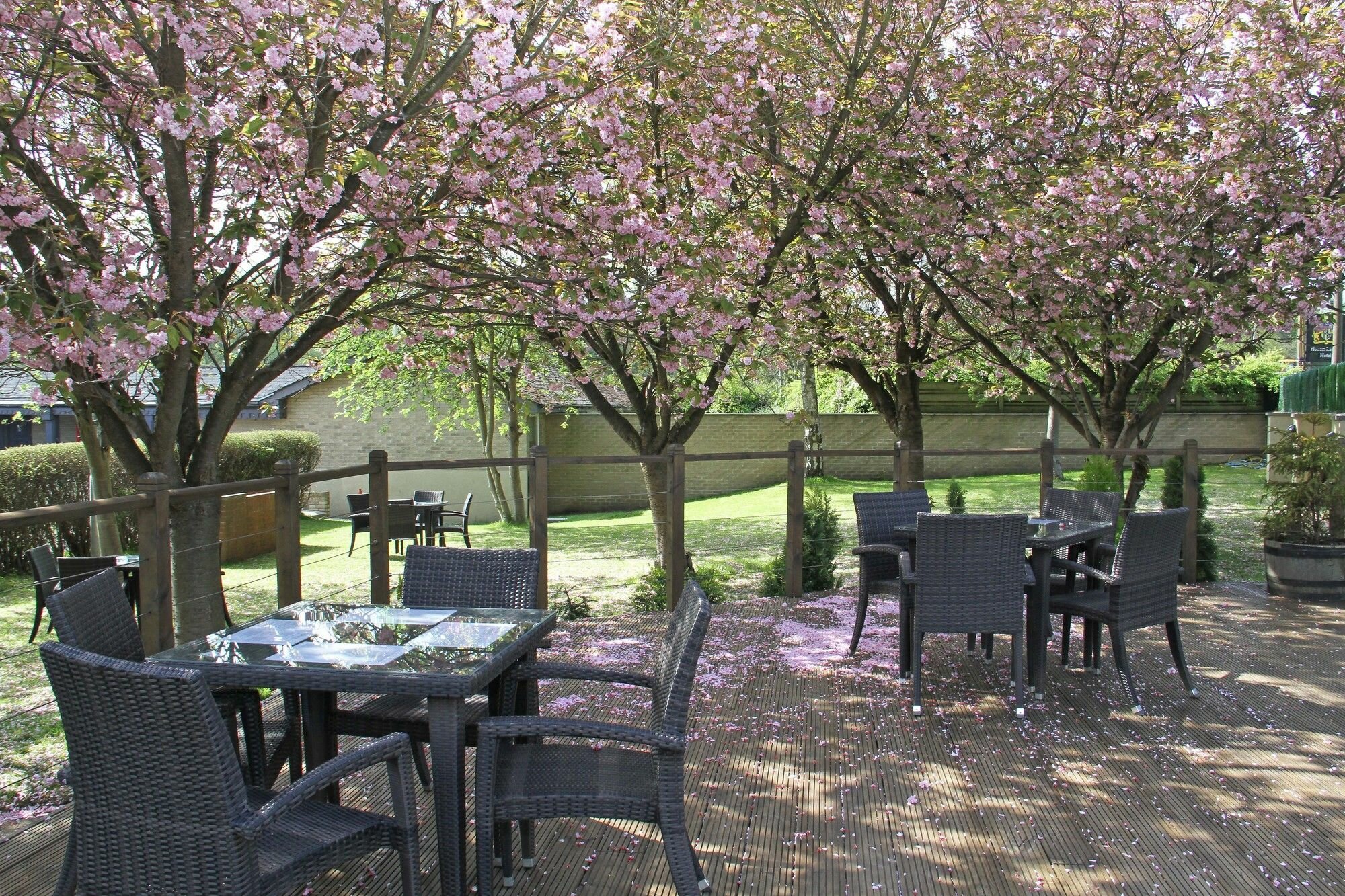 Фото Honest Lawyer Hotel