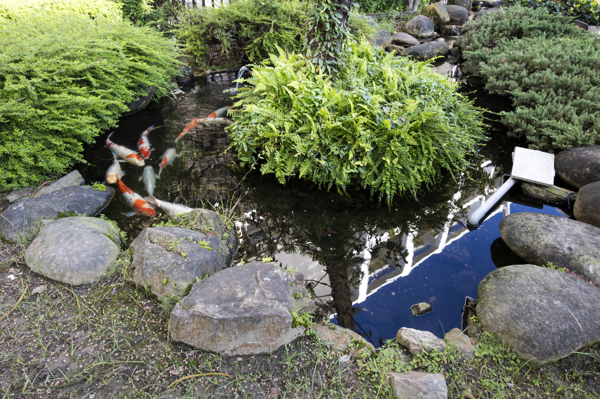 Фото Ful Won Hotel