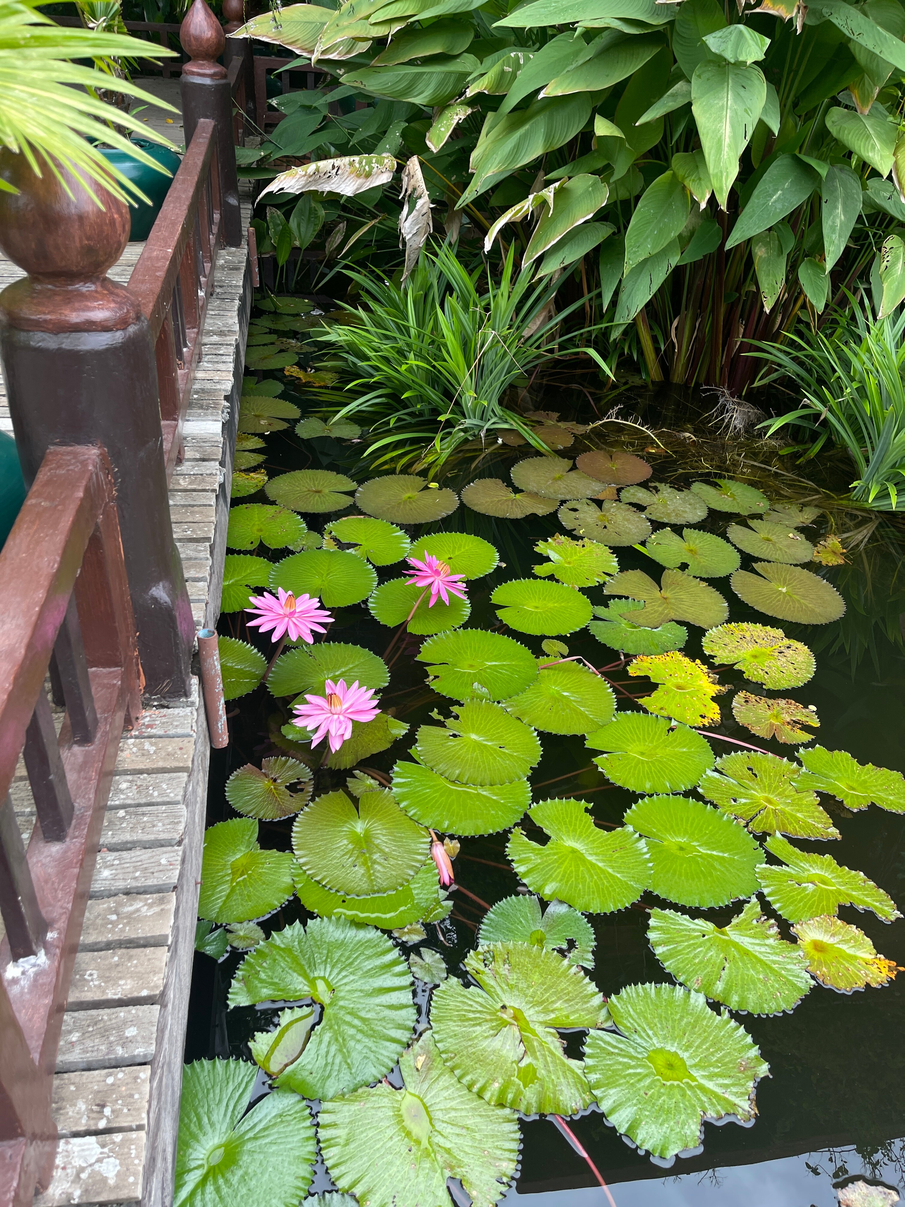 Фото Angkor Village Hotel
