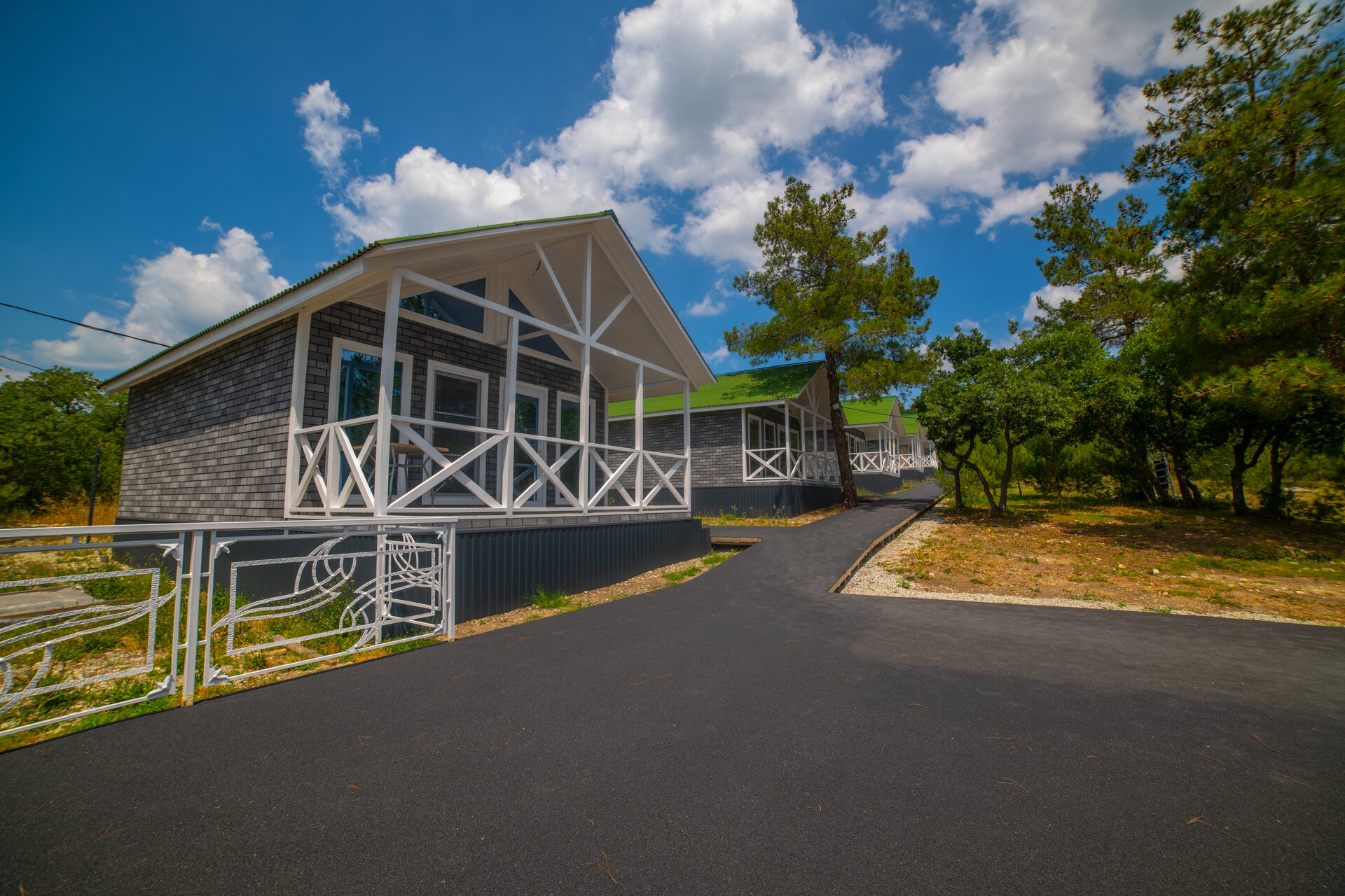 Фото Елки и Иголки