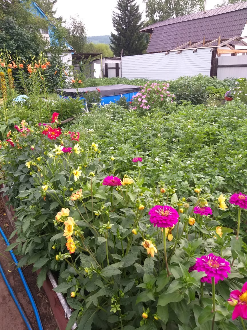 Фото Байкал Пеко