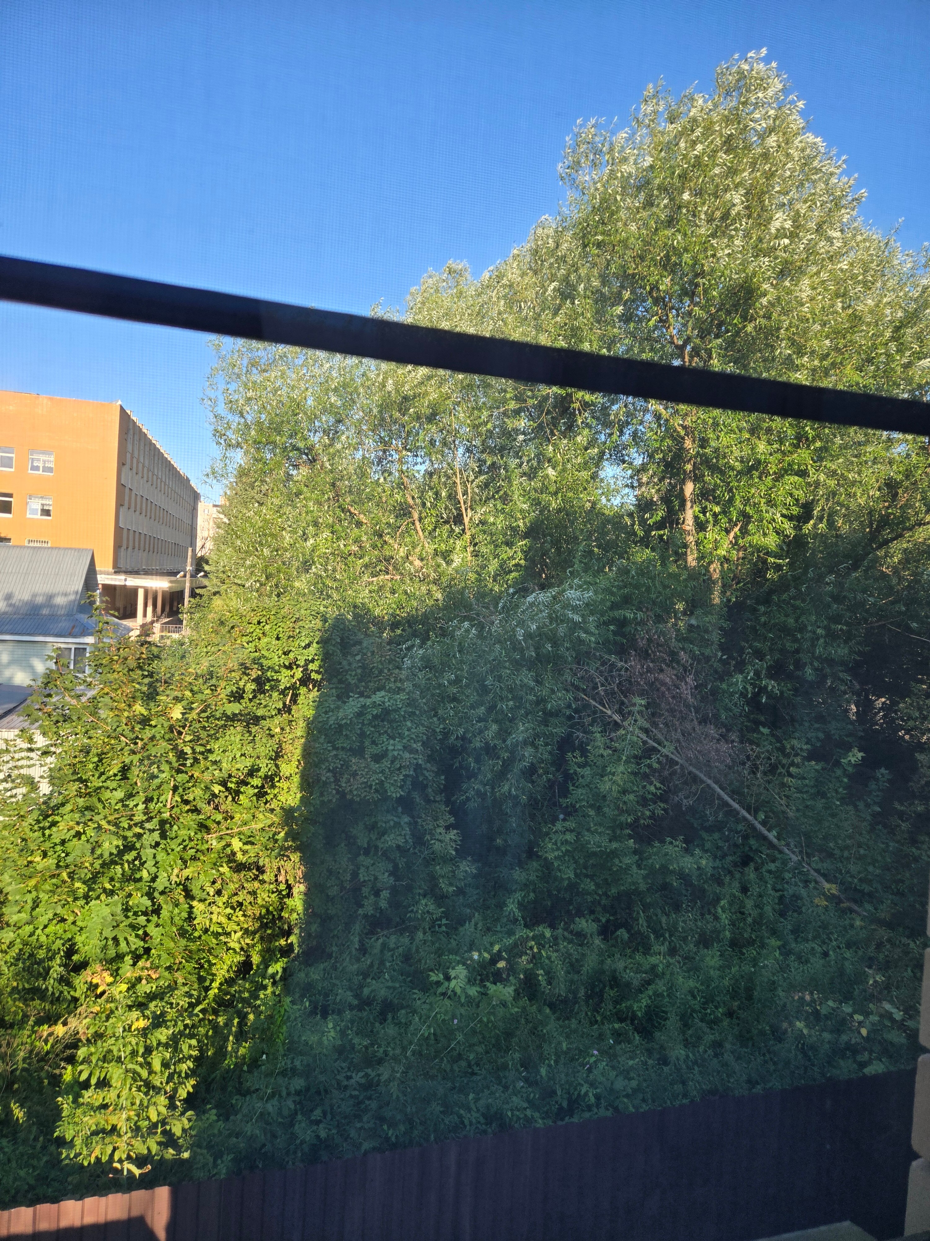 Фото Тверской