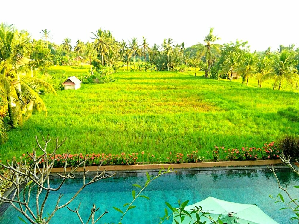 Фото Artini Bisma Ubud Hotel