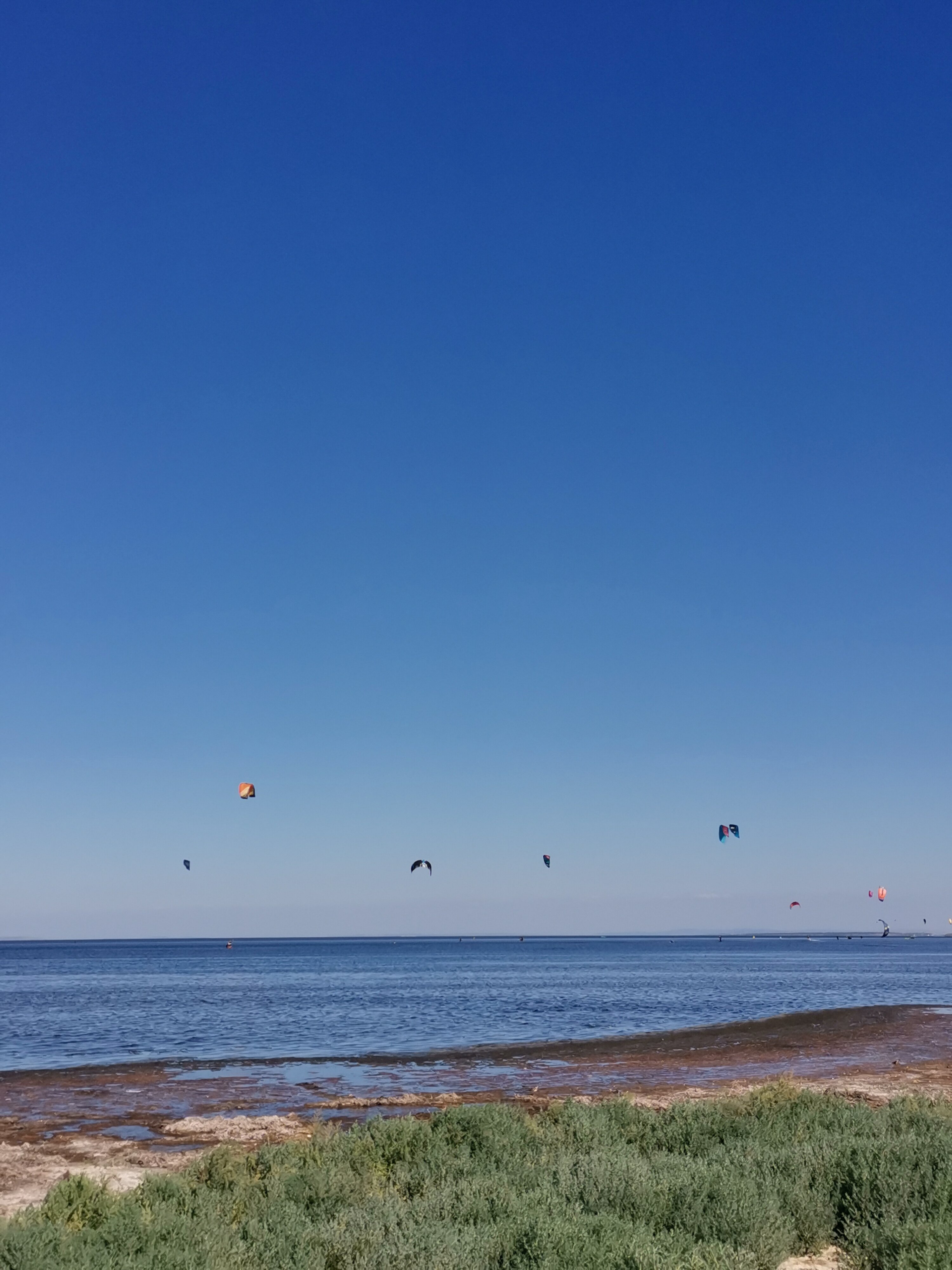 Фото Берлога