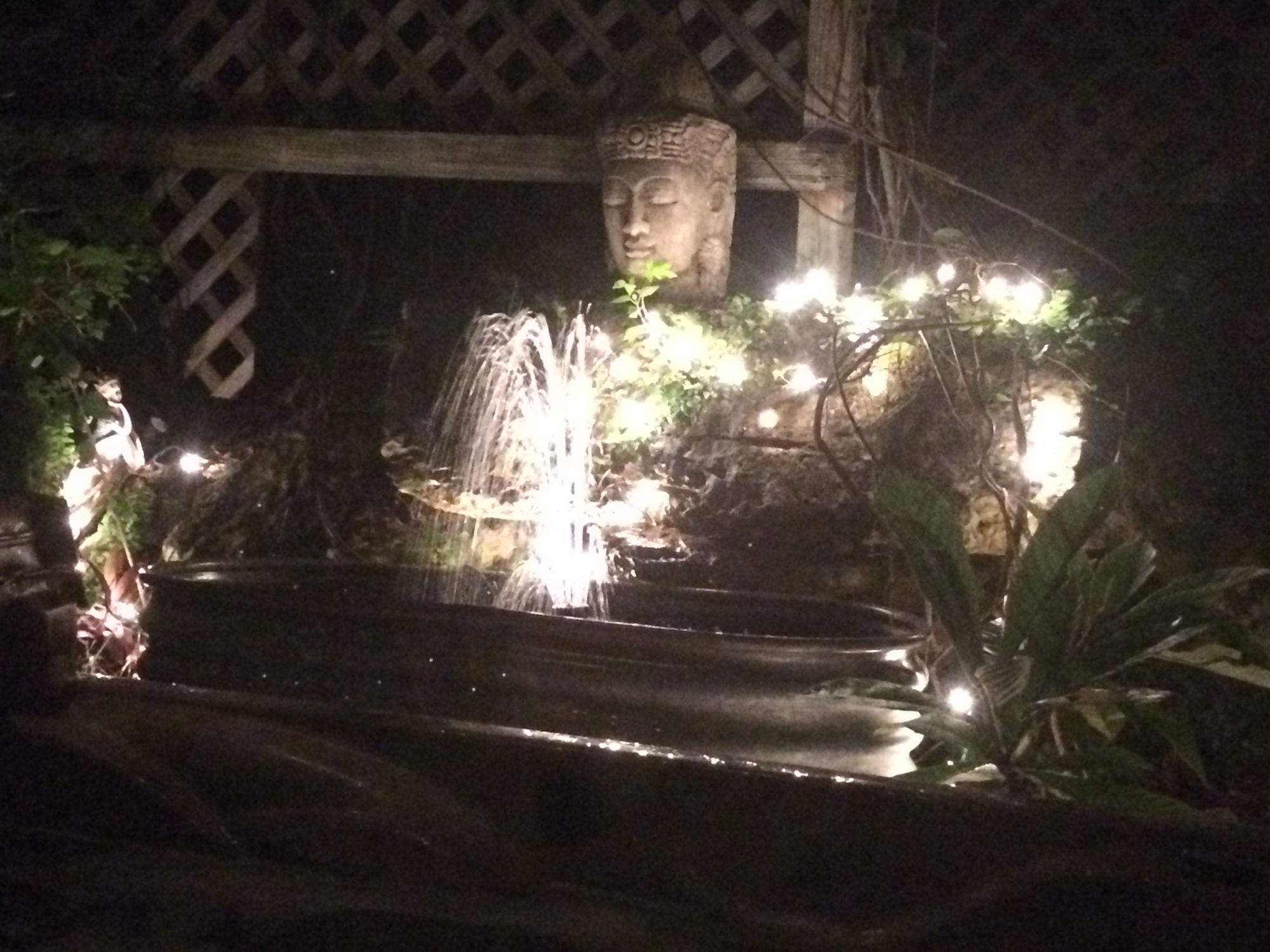 Фото Casa del Sol Bed and Breakfast