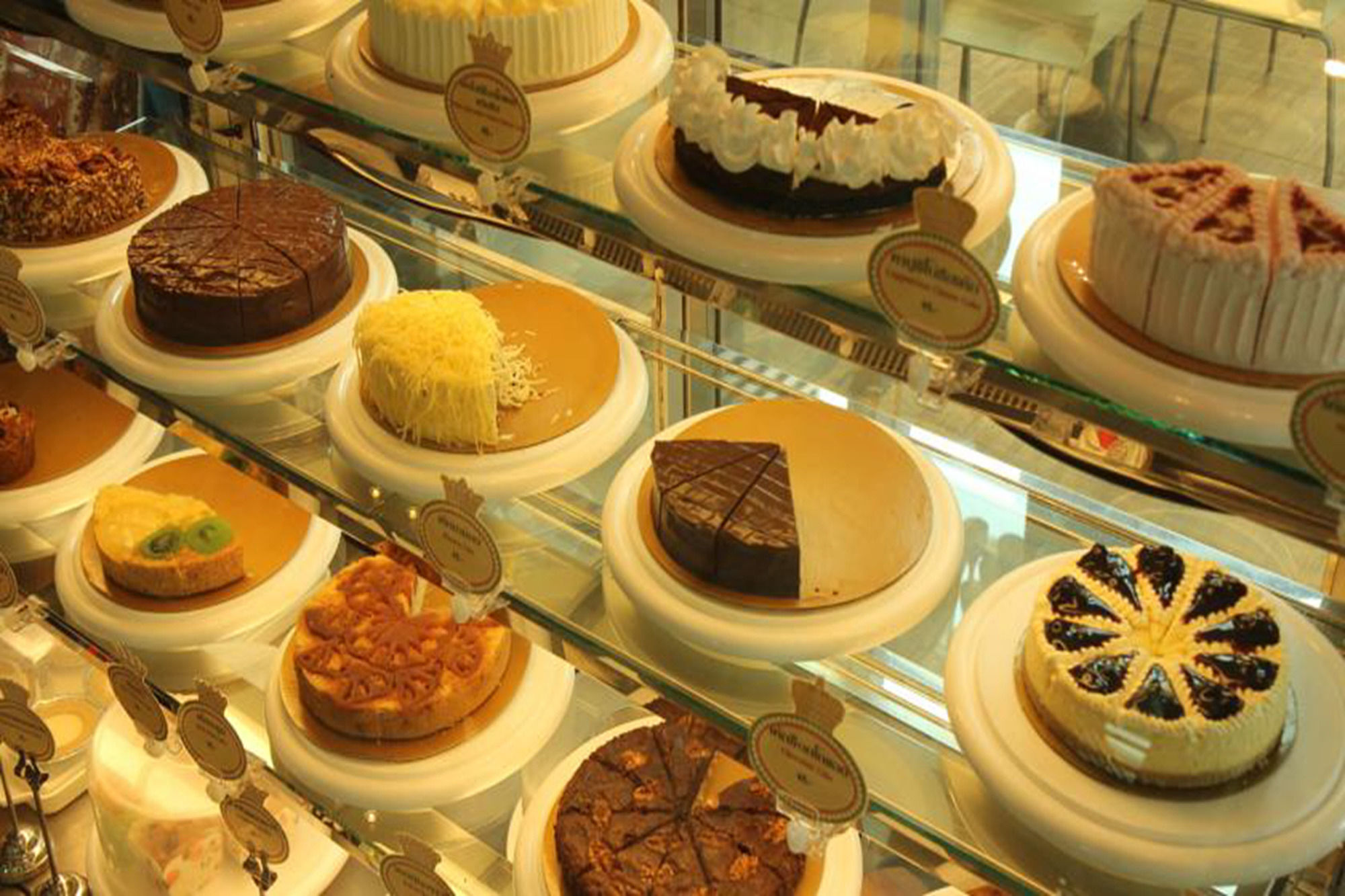 Фото Caza V1 Serviced Apartment