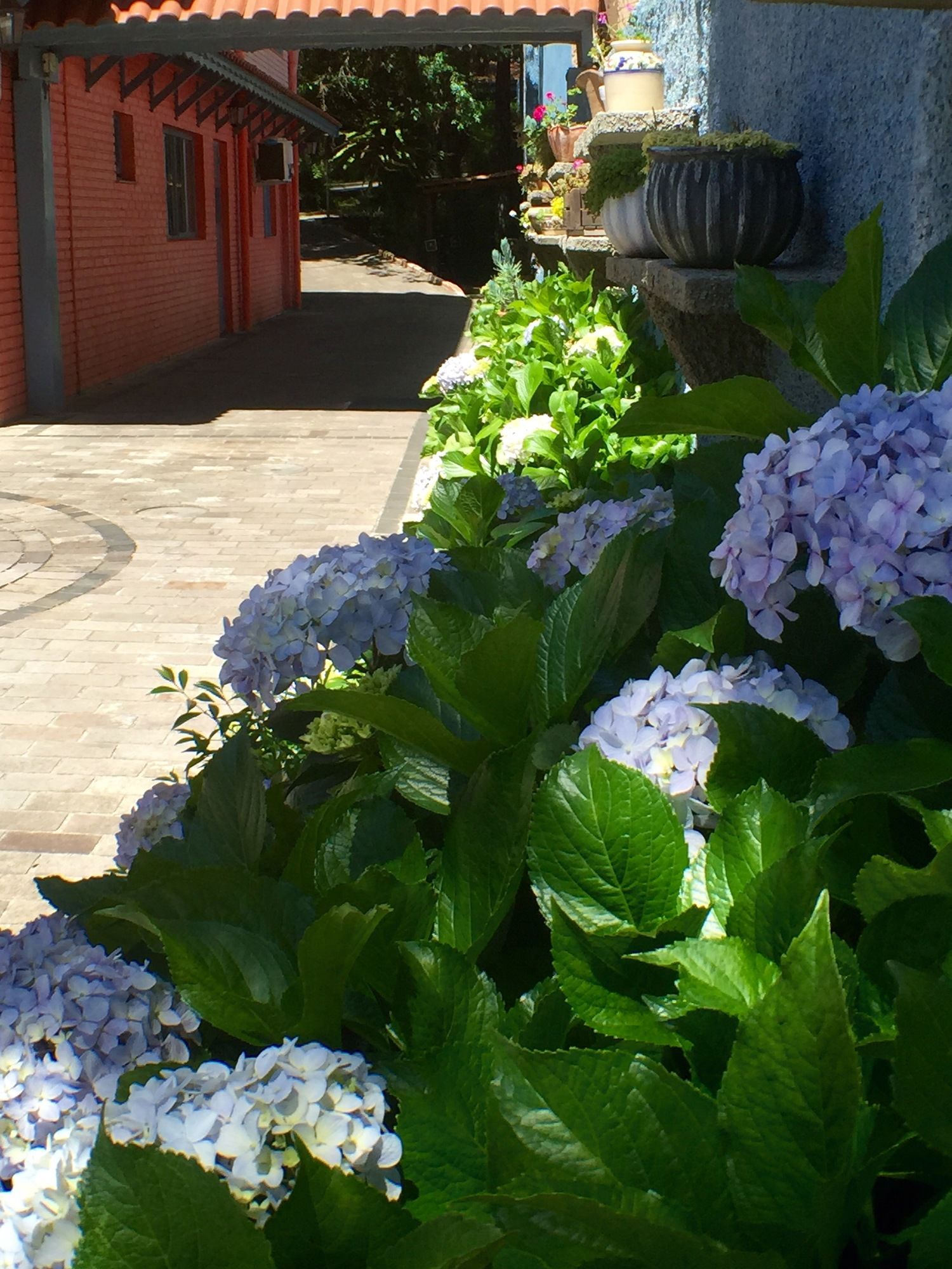 Фото Petit Hotel Provence Gramado Tissiani