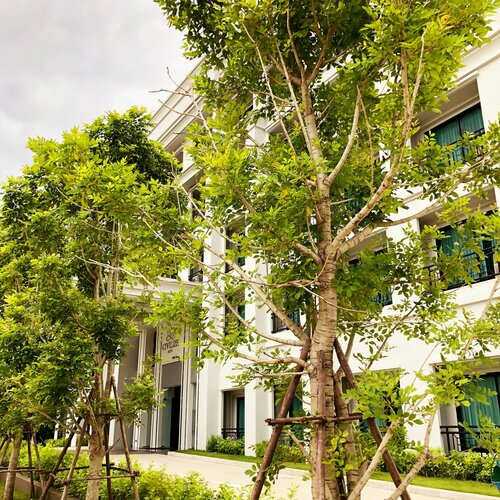 Гостиница Civilize Hotel в Удонтхани