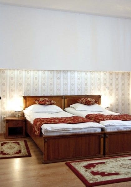 Фото Hotel Transilvania