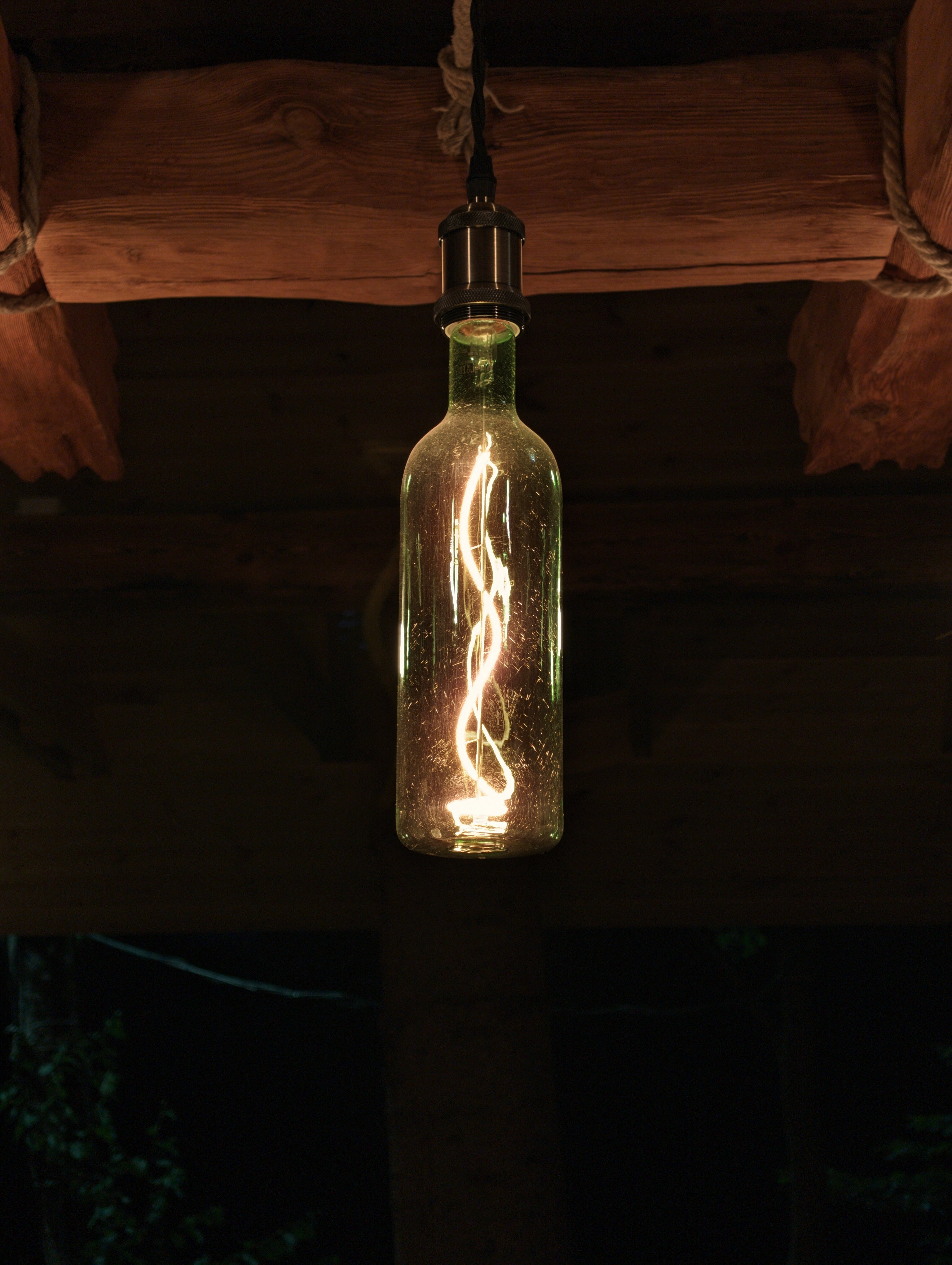 Фото Аргали