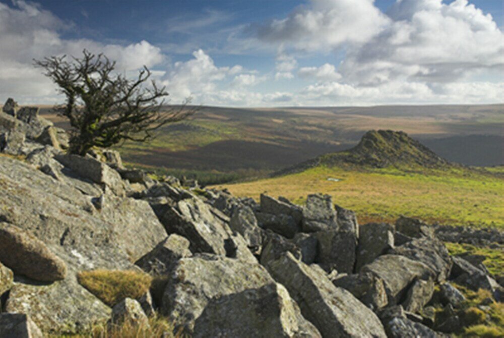 Фото Collaven Manor Hotel