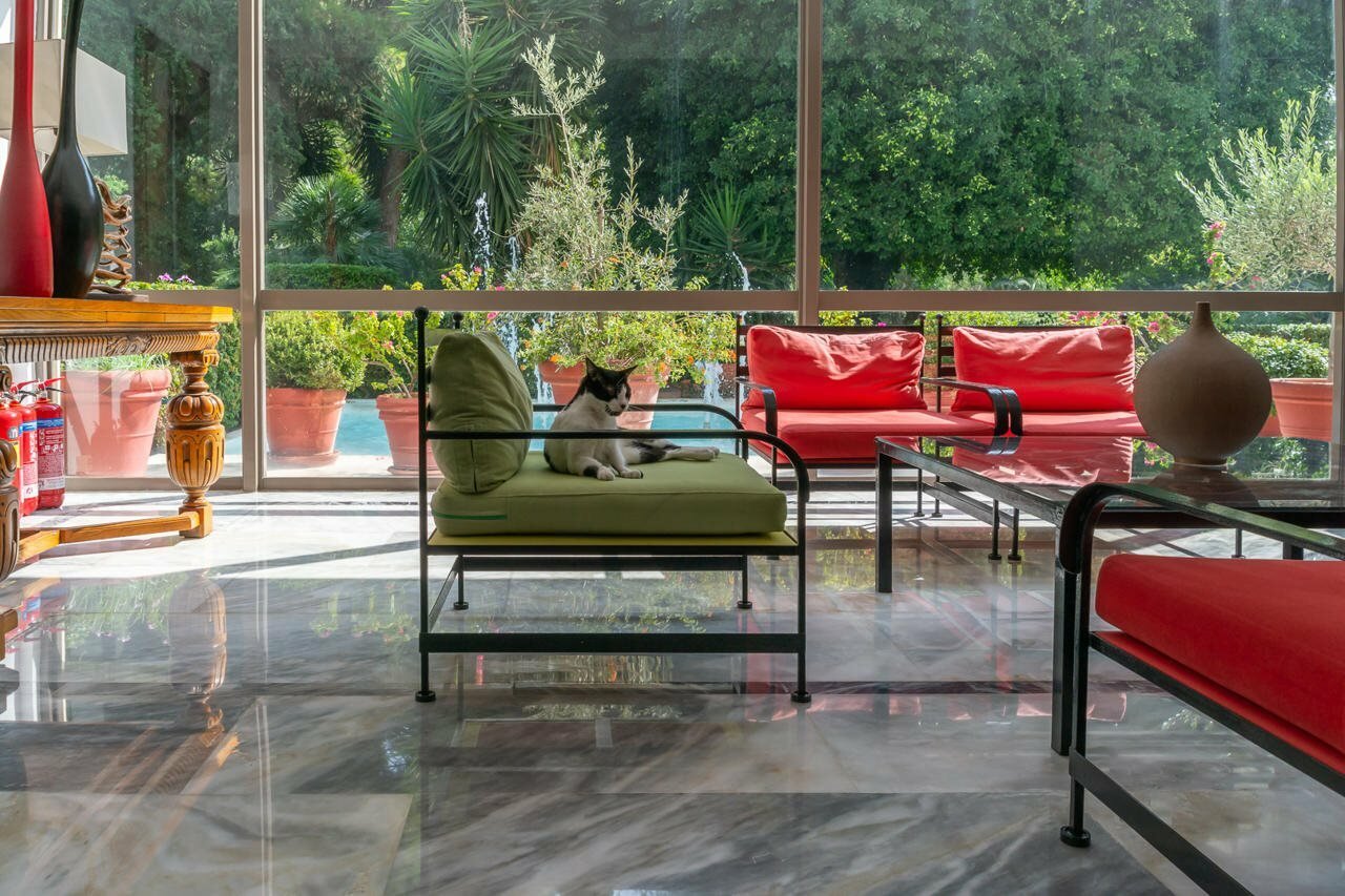 Фото Dionysos Hotel