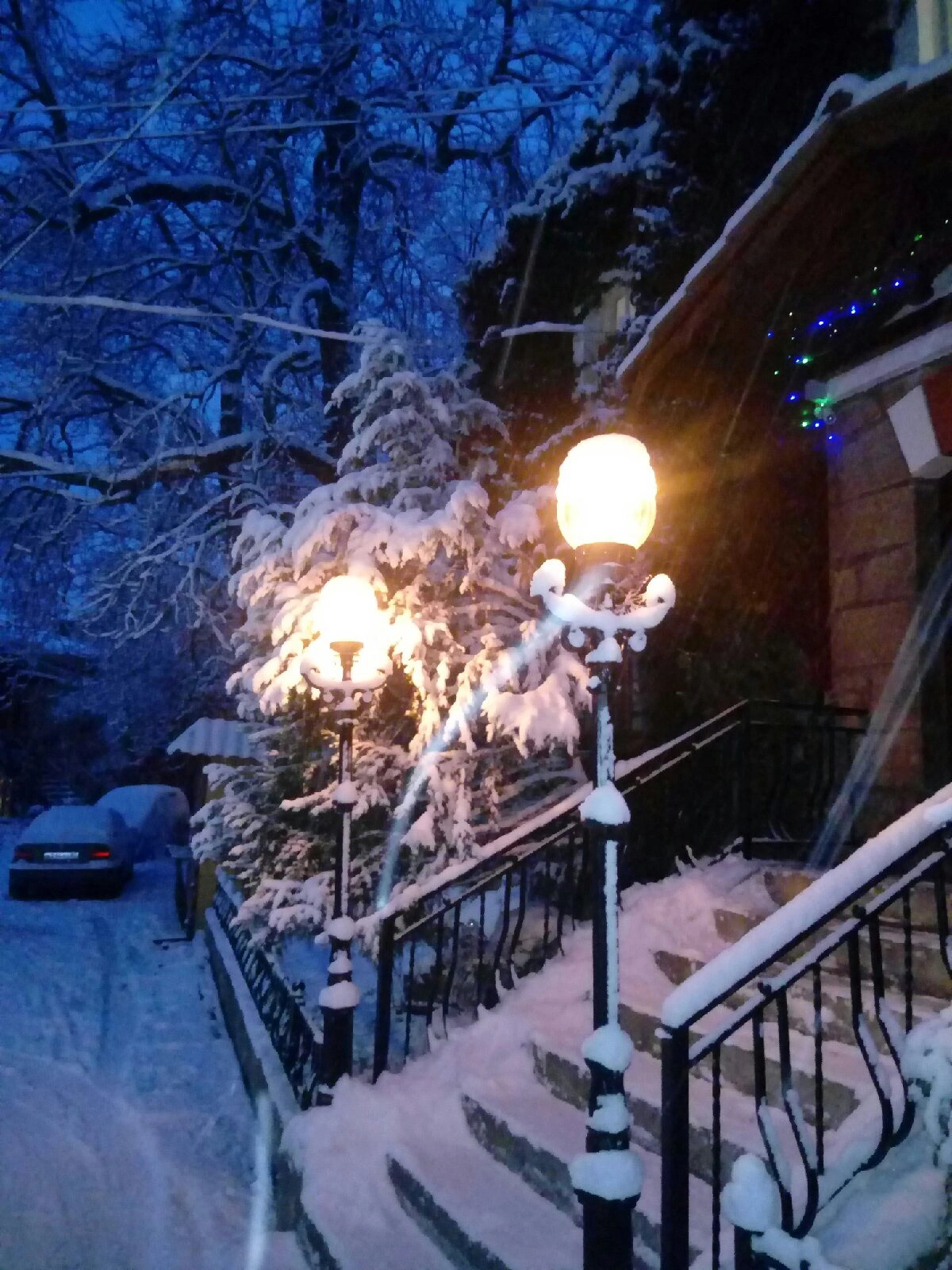 Фото Ливада