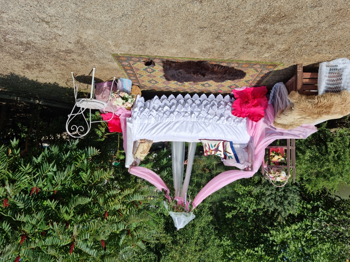 Фото Курочка Ряба