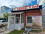 Цветы прикамья (Кронштадтская ул., 39А, Пермь), магазин цветов в Перми