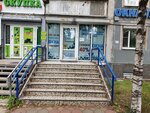 Labrador (Saint Petersburg, Esenina Street, 32к1), windows