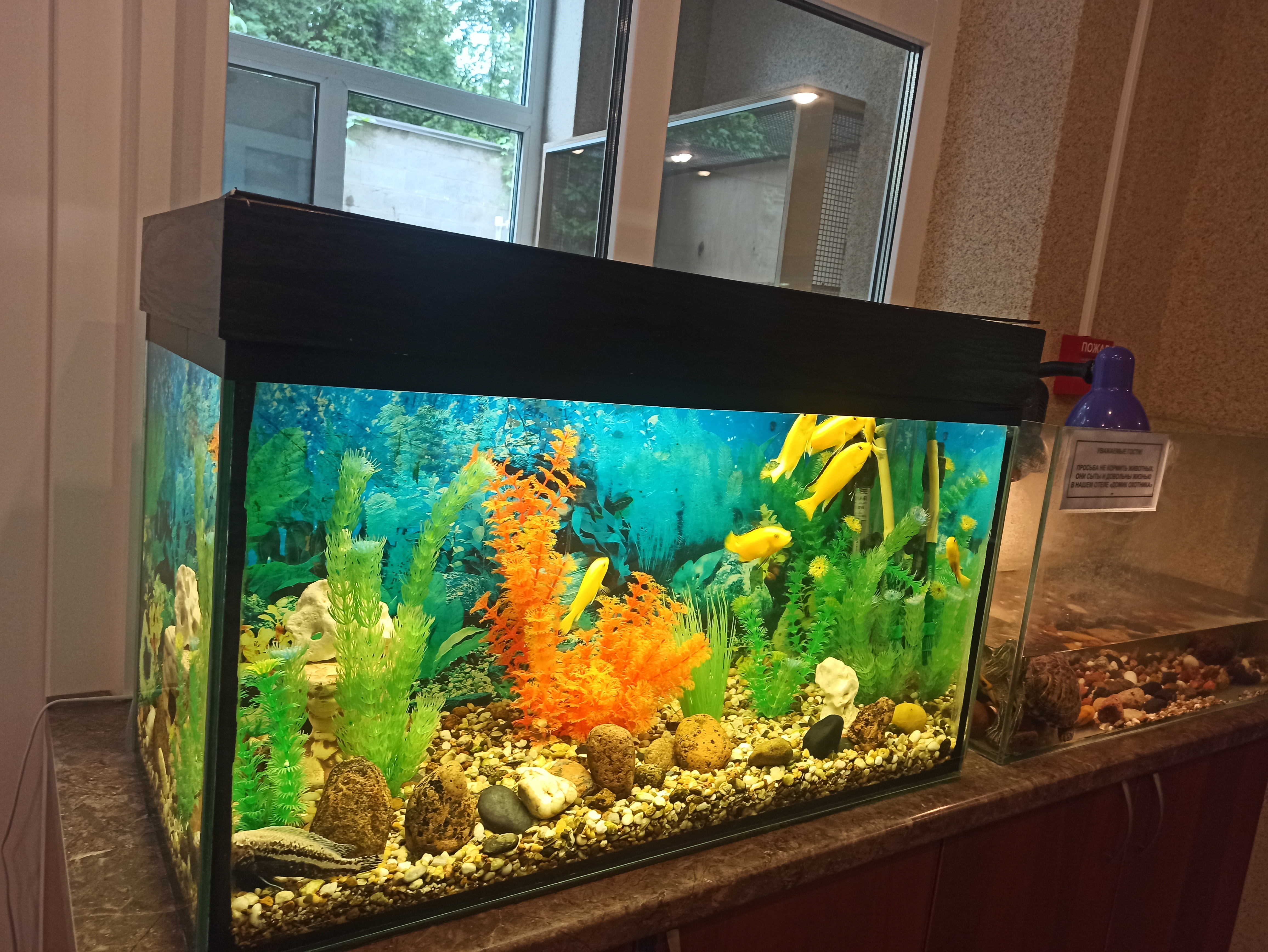 Фото Домик Охотника