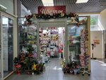 Цветы (Petropavlovskaya Street, 105А), flower shop
