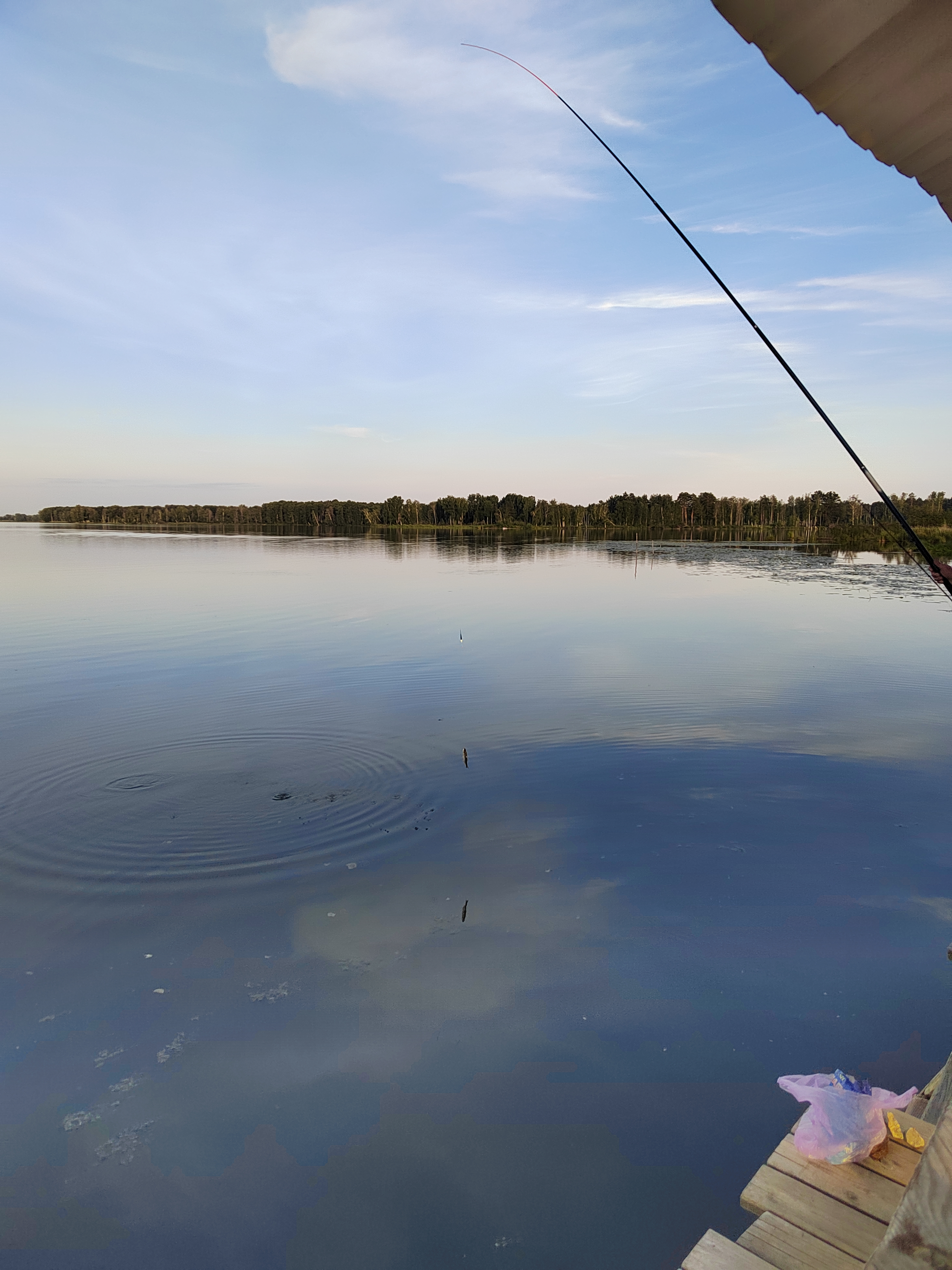 Фото УткульРФ