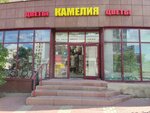 Kameliya (Moskovskiy Avenue, 131А), flower shop