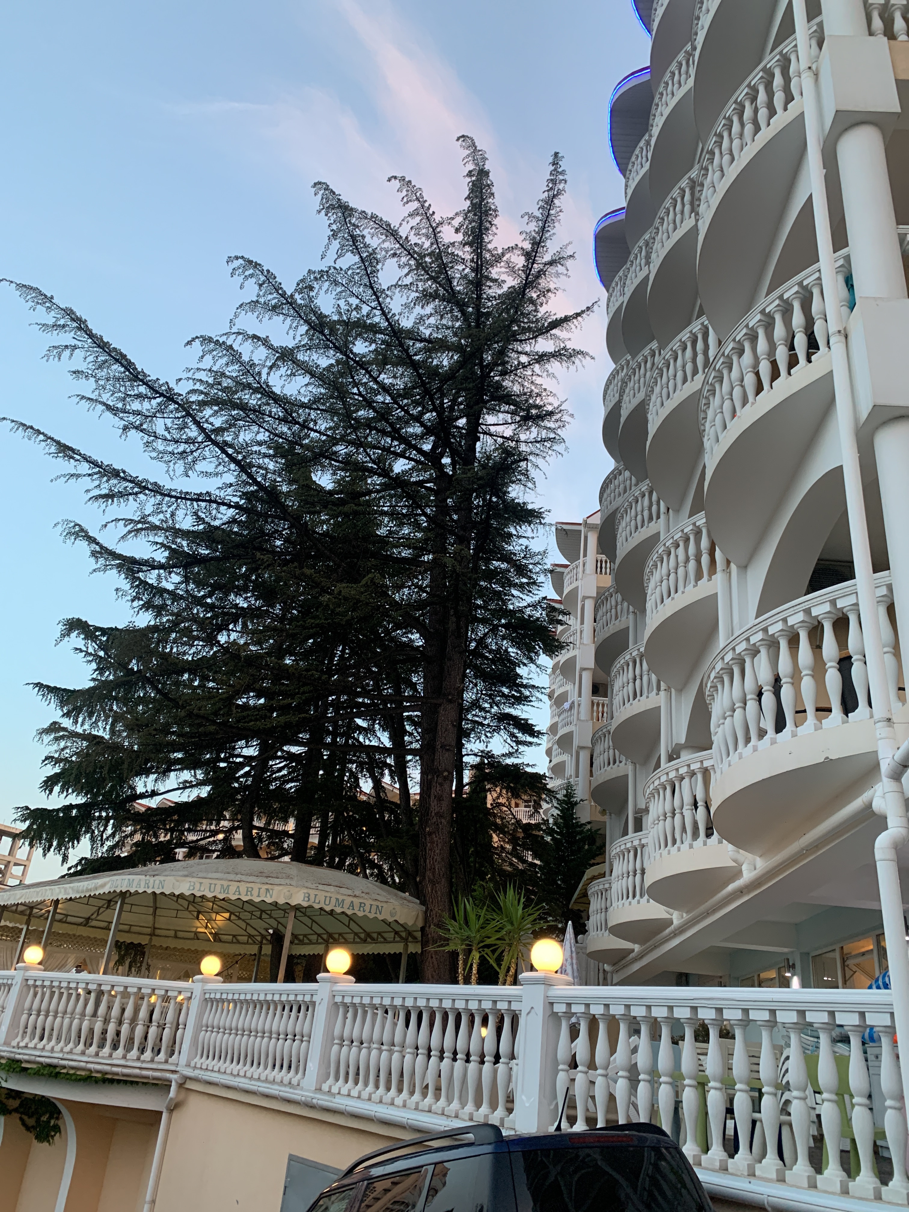 Фото Блюмарин