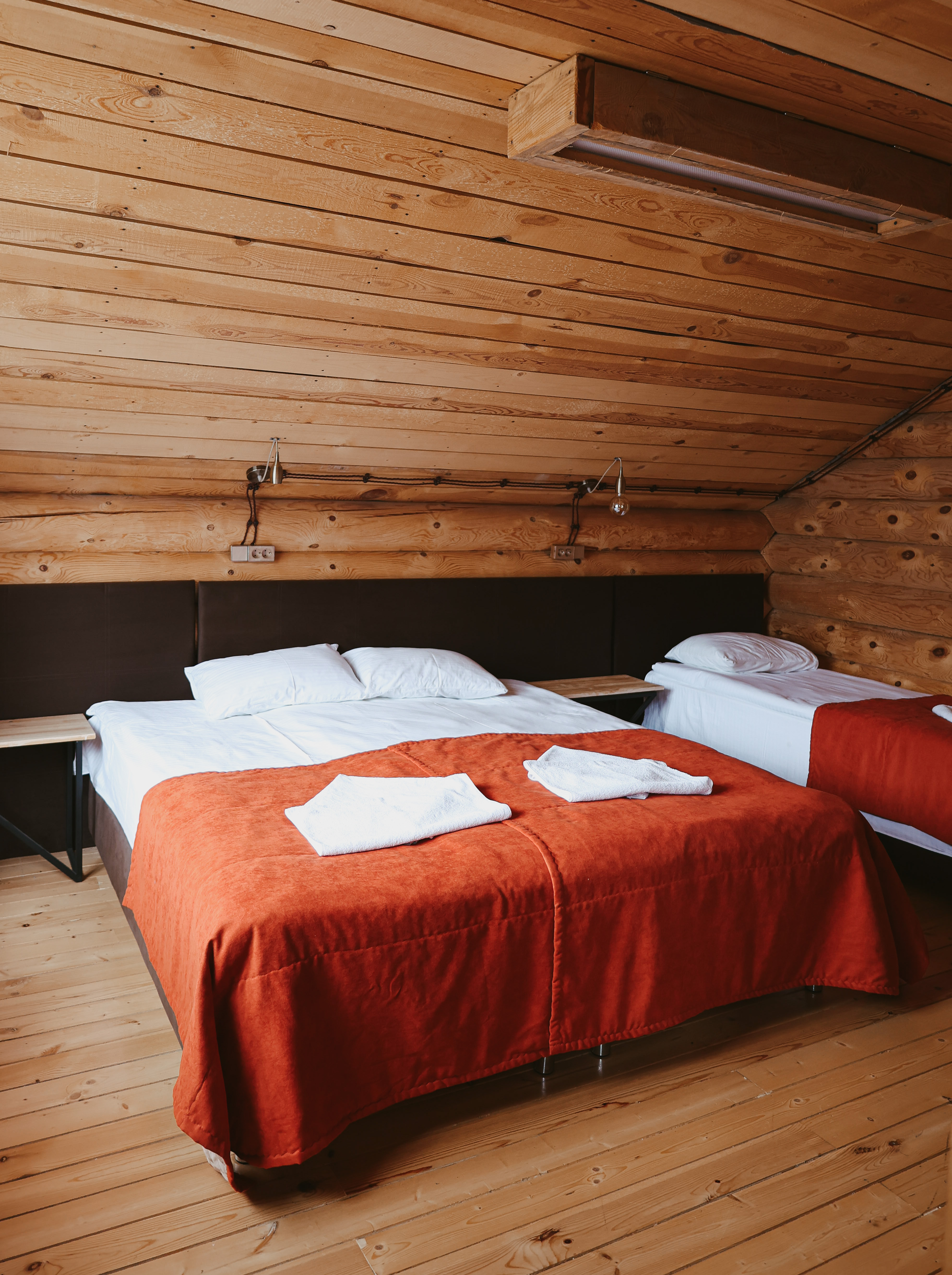 Фото Клевер