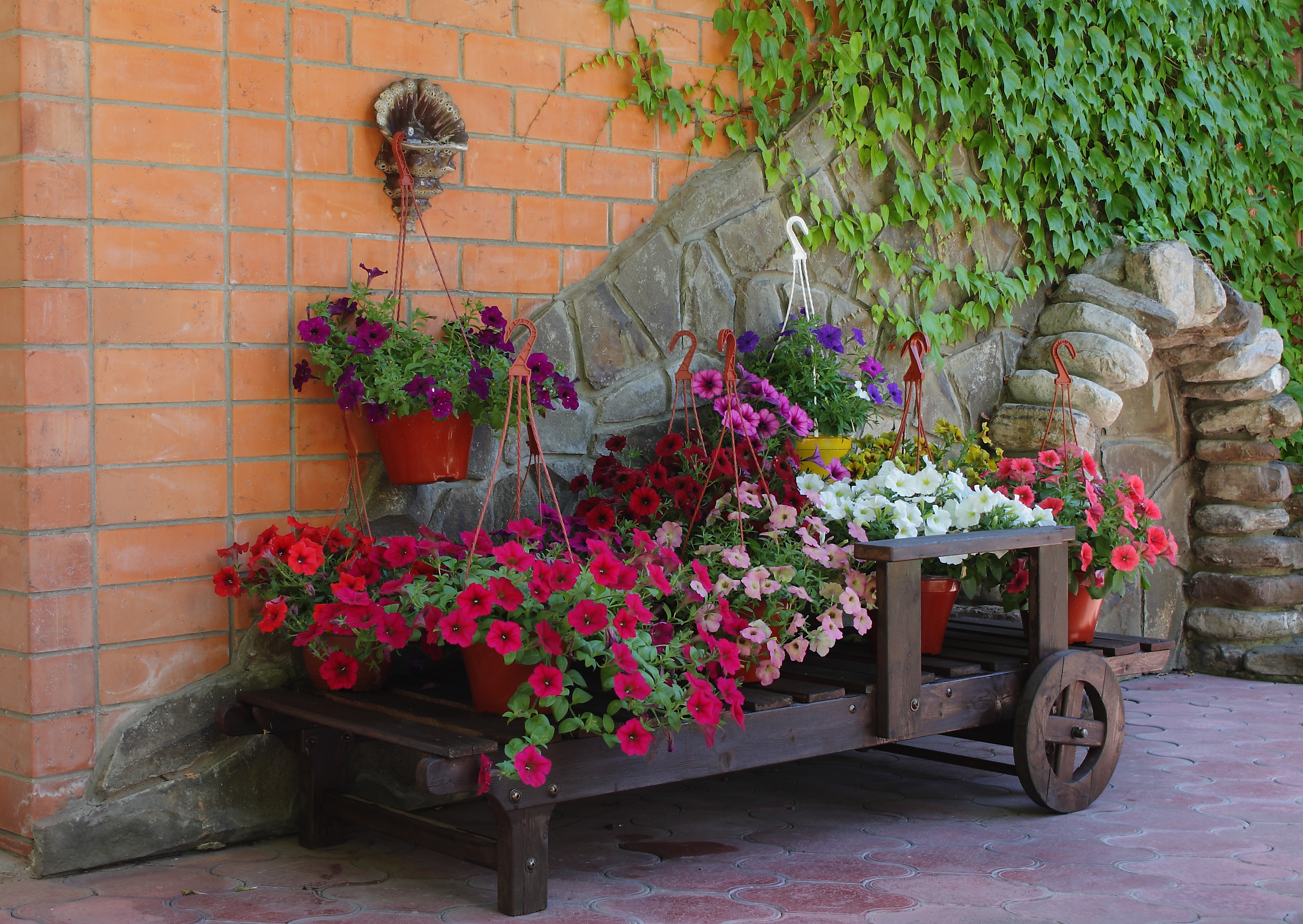 Фото Лоо Парк