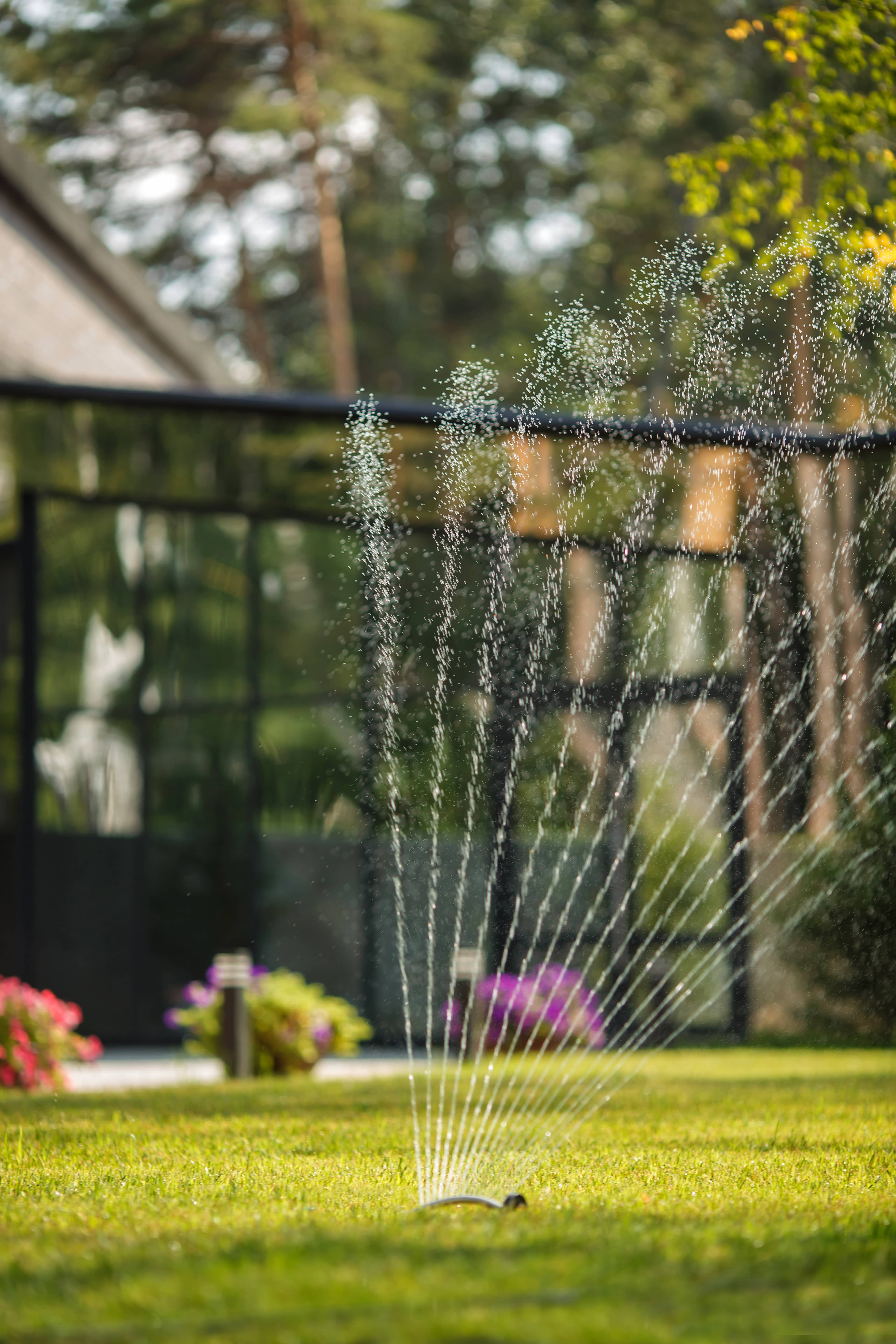 Фото Поляна Verde