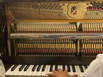 El-piano (Porechnaya Street, 15) ، مدارس الموسيقى