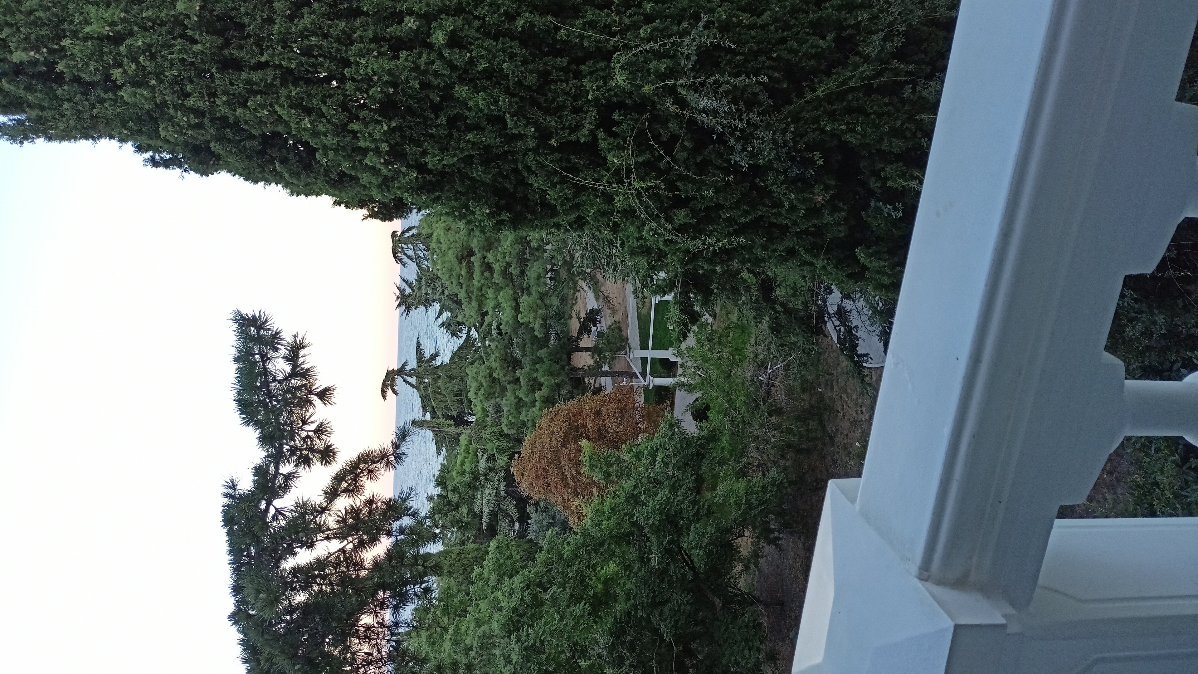 Фото Усадьба Приморский парк