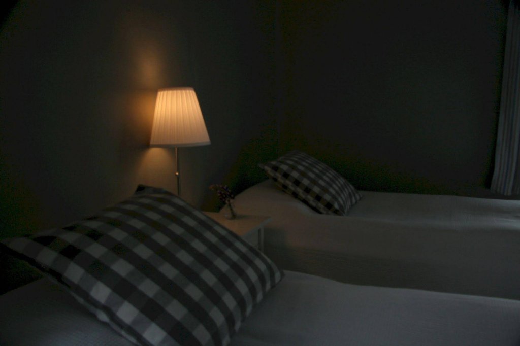 Фото Arbol Guest House