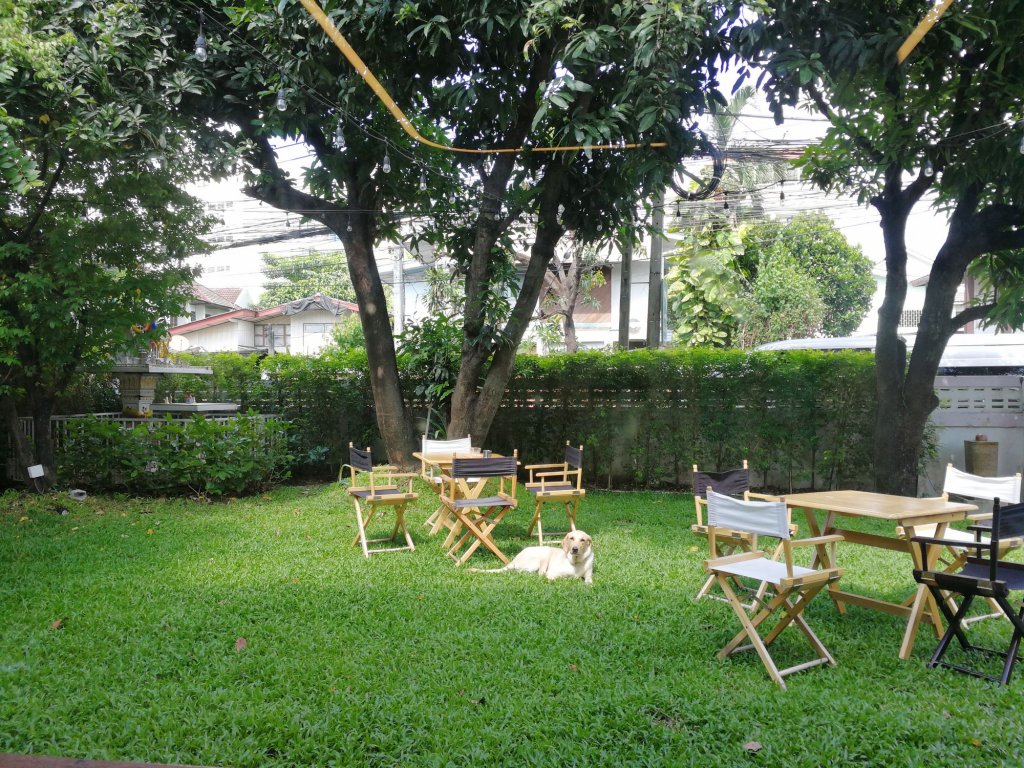 Фото 66403678524