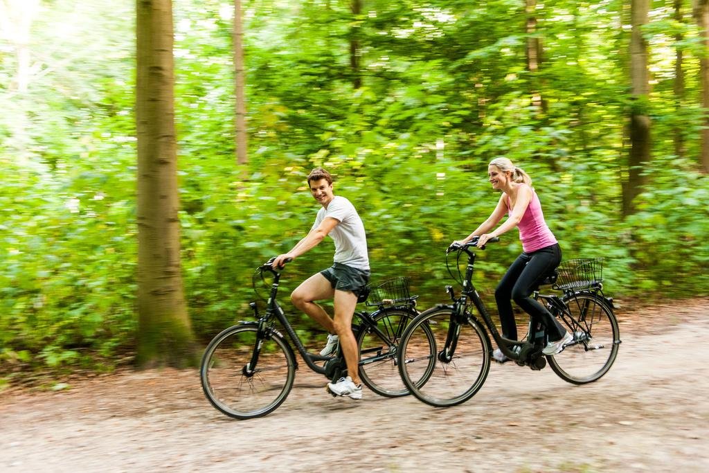 Фото Hotel Birke - Appartments Waldesruh