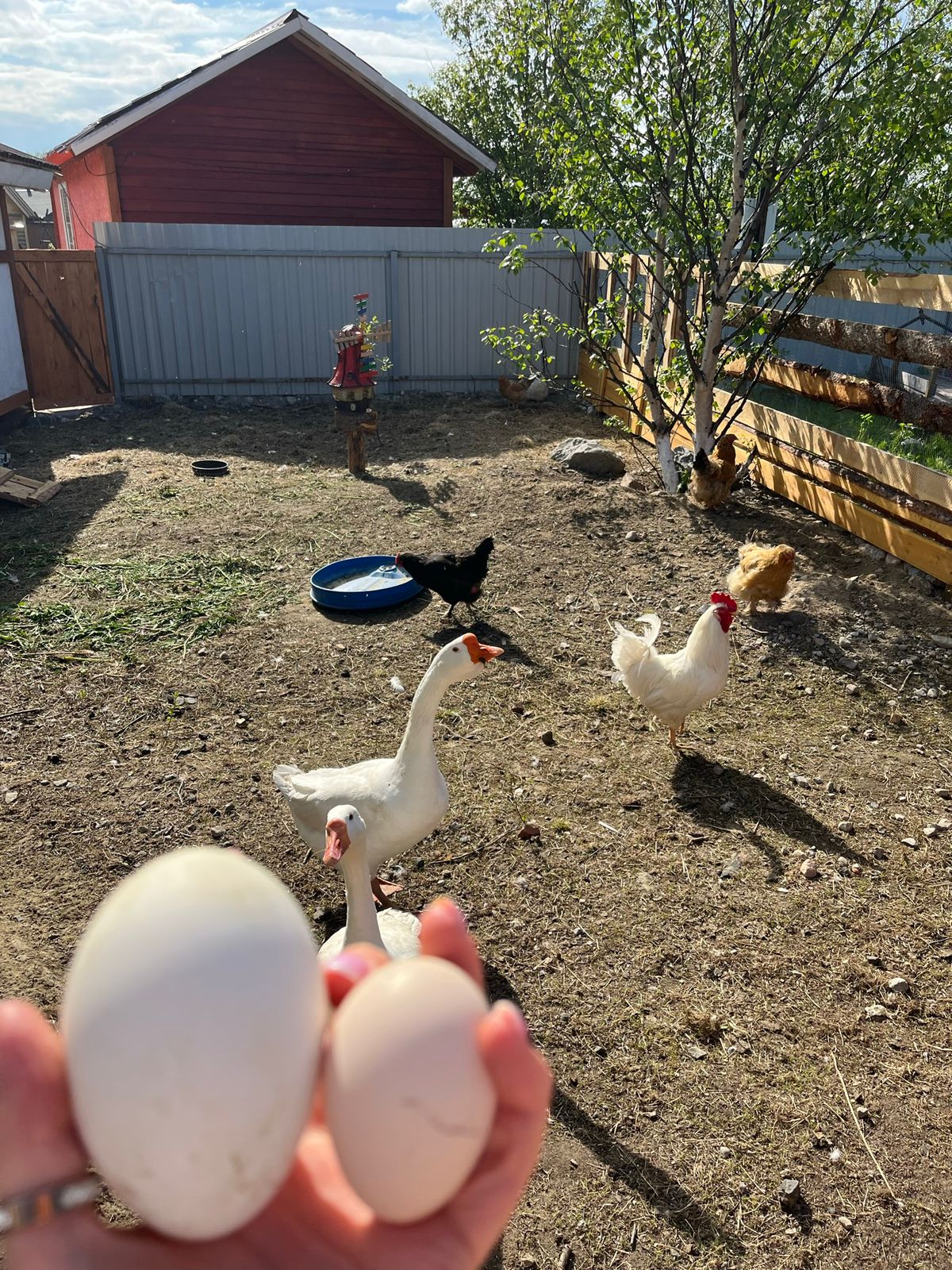 Фото Eco Village Park