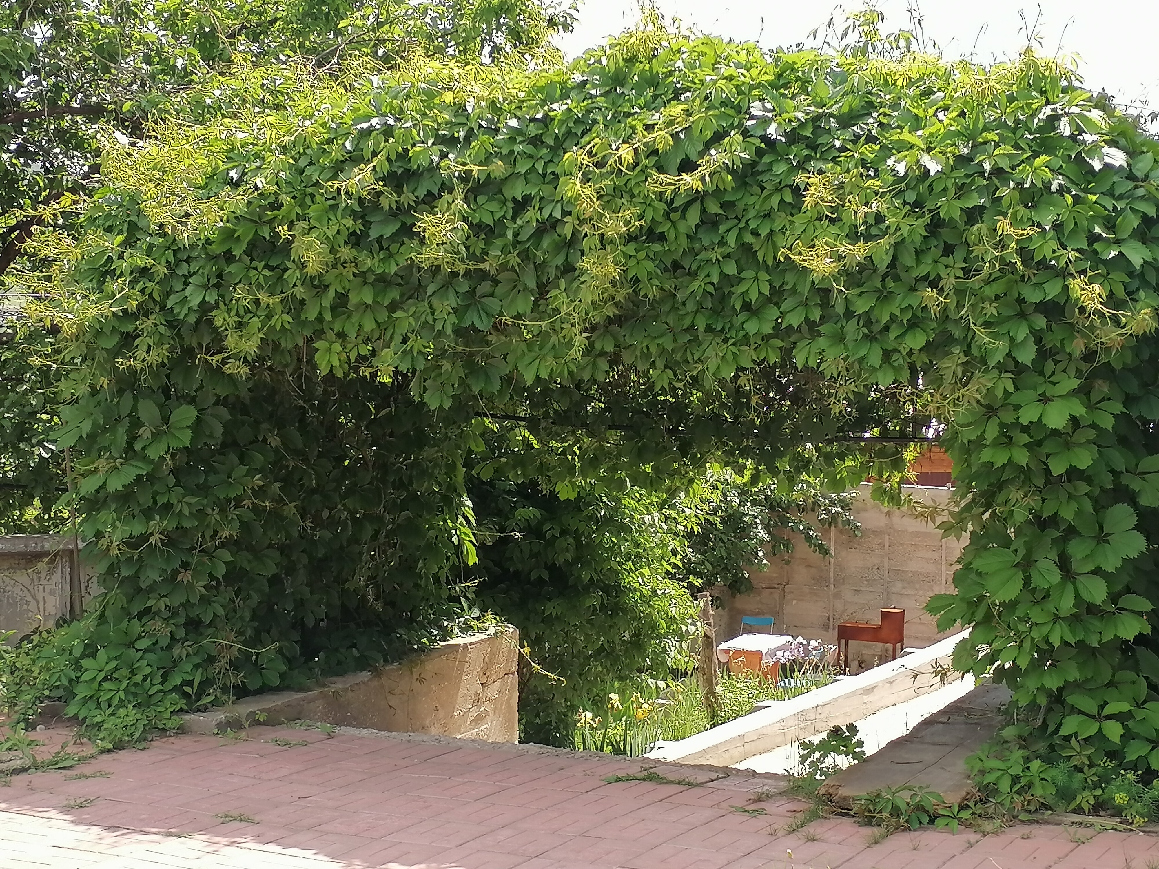 Фото Александра