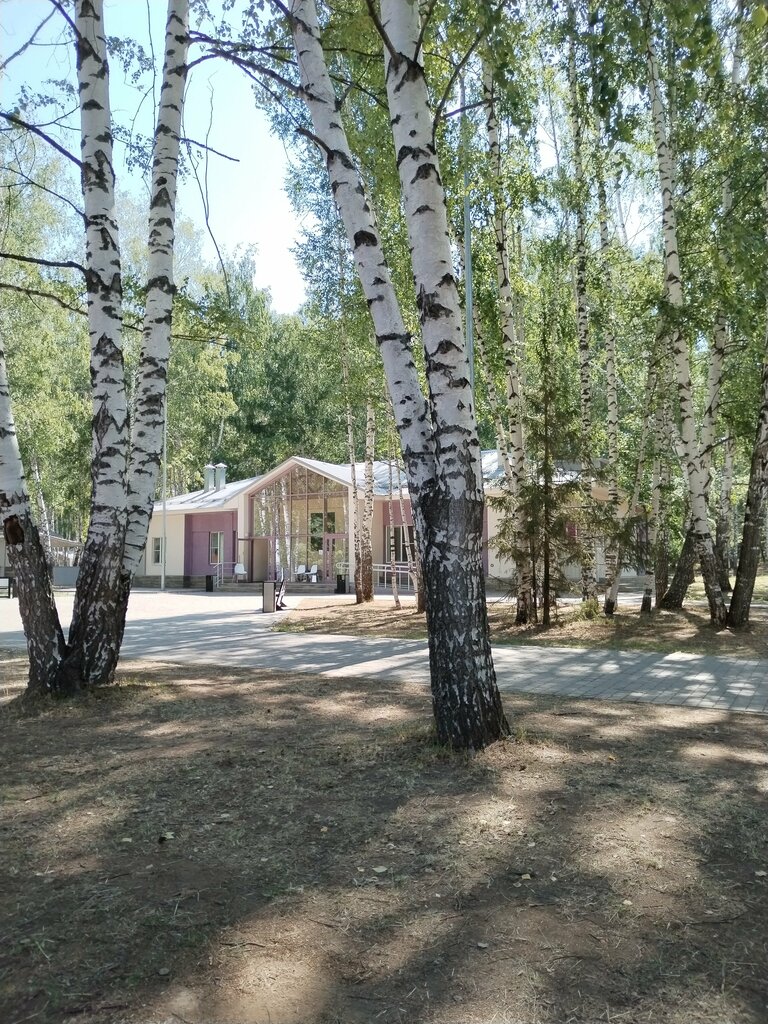 Recreation infrastructure Детский оздоровительный лагерь Звёздный, корпус № 1, Republic of Tatarstan, photo