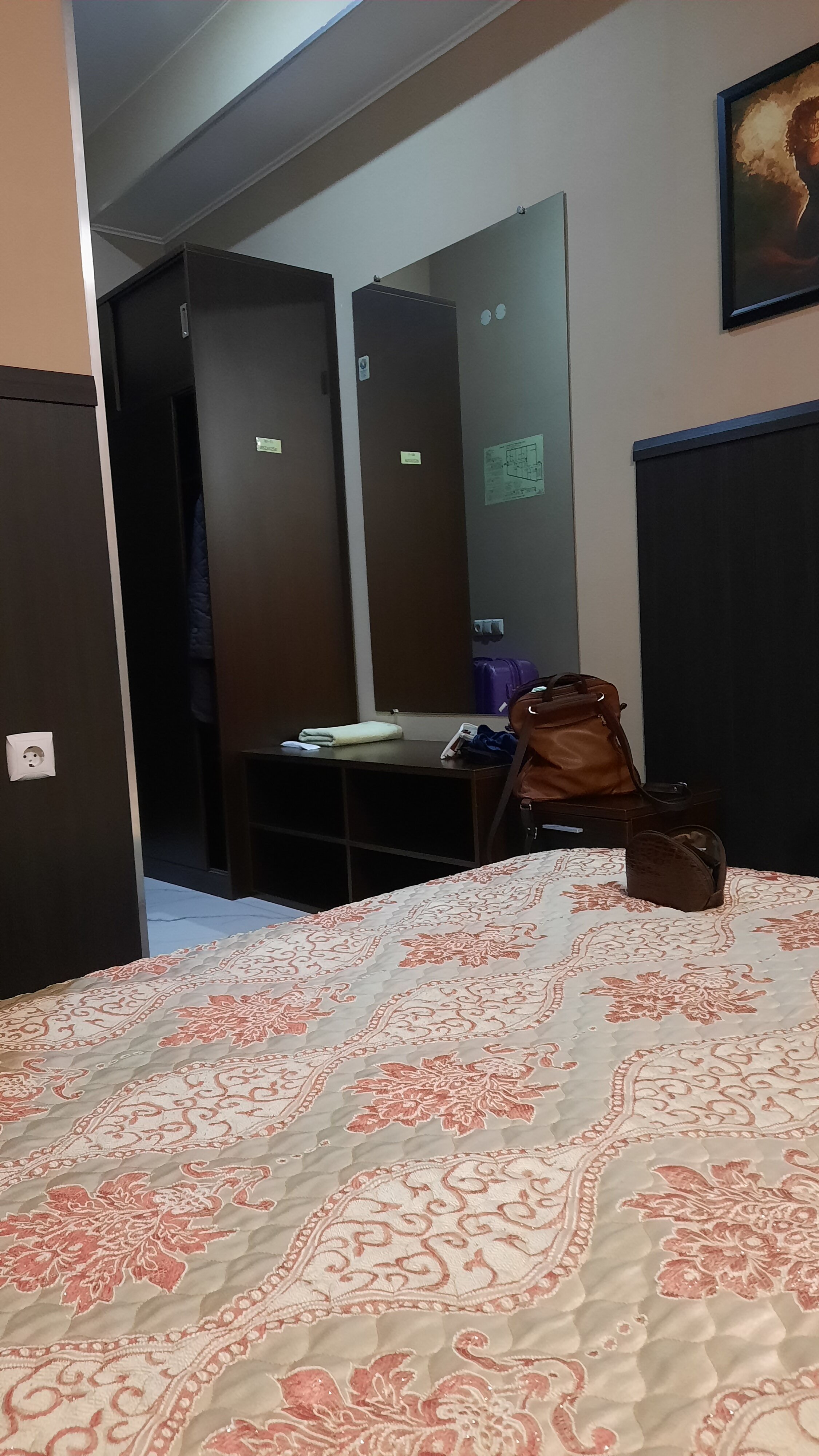 Фото Альбатрос