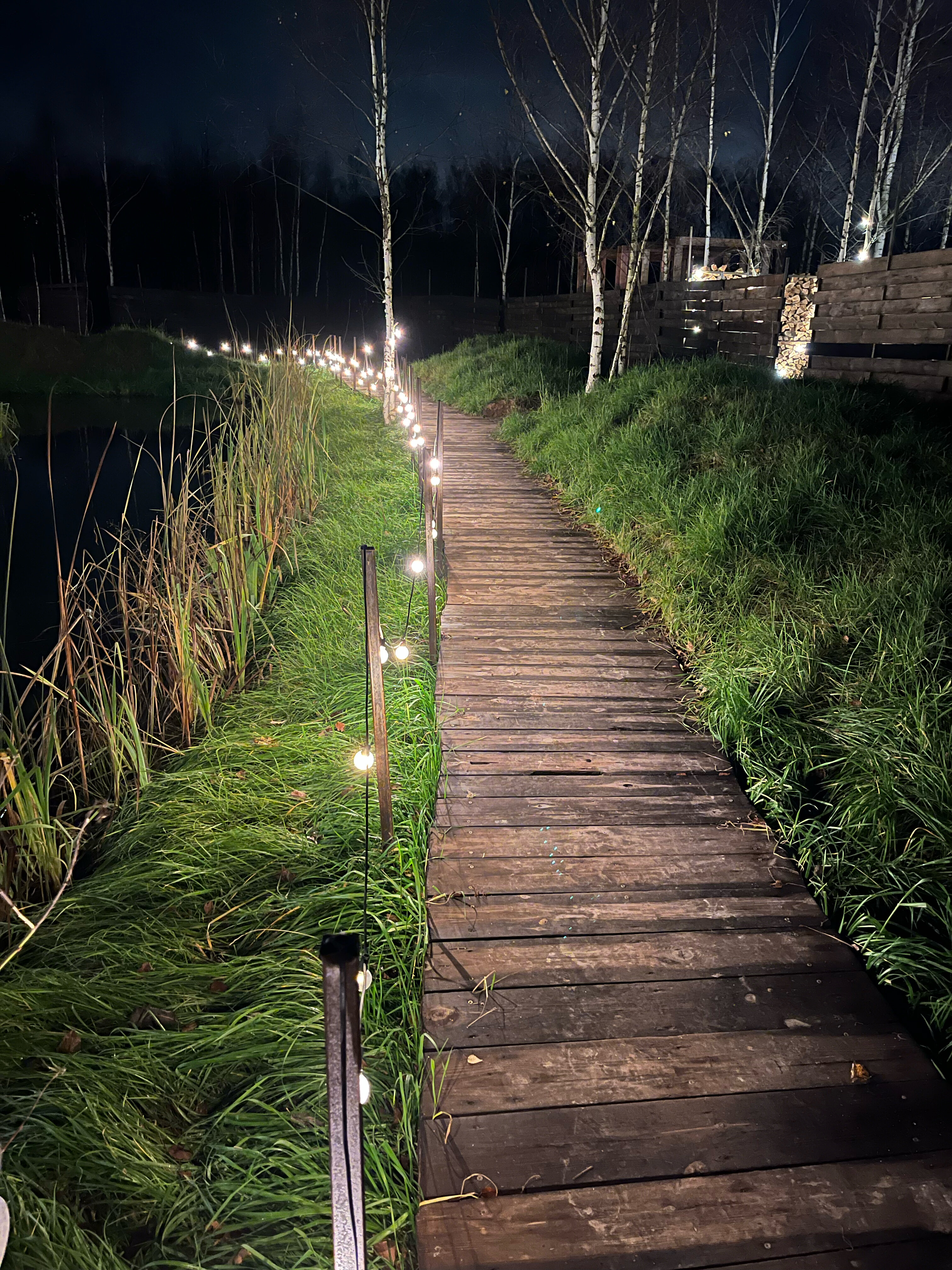 Фото В Поле