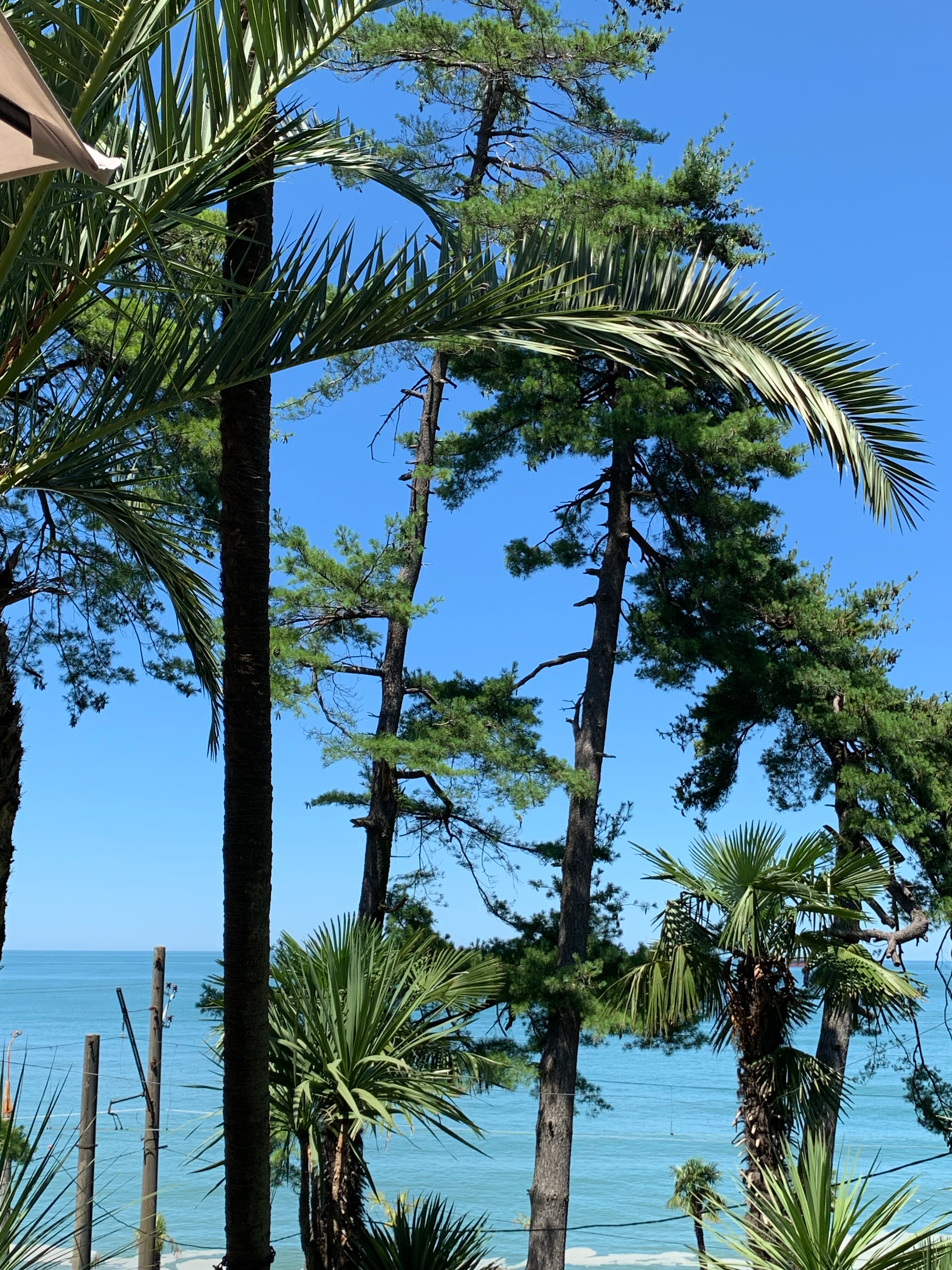 Фото House at the Sea