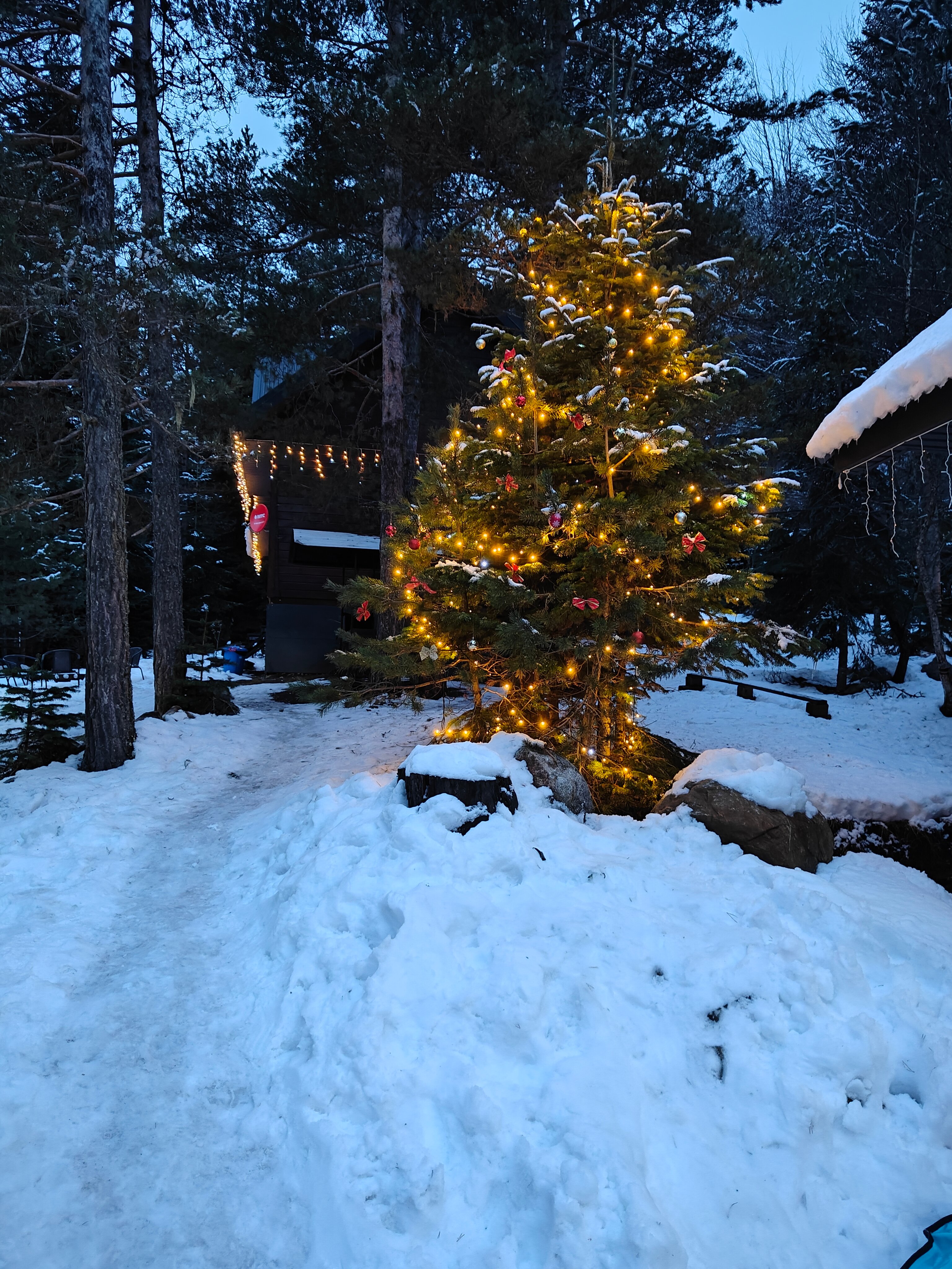 Фото Paradise Arkhyz