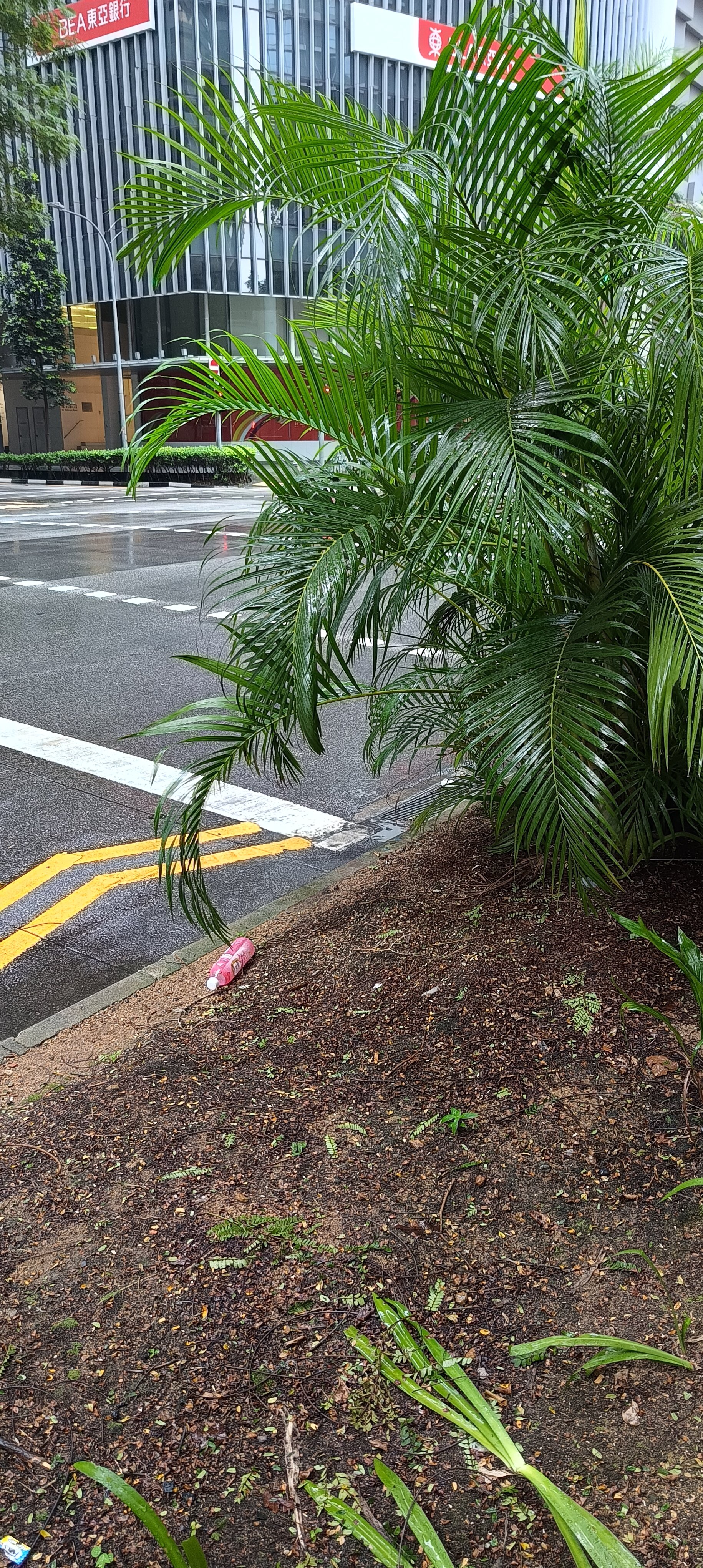 Фото QT Singapore