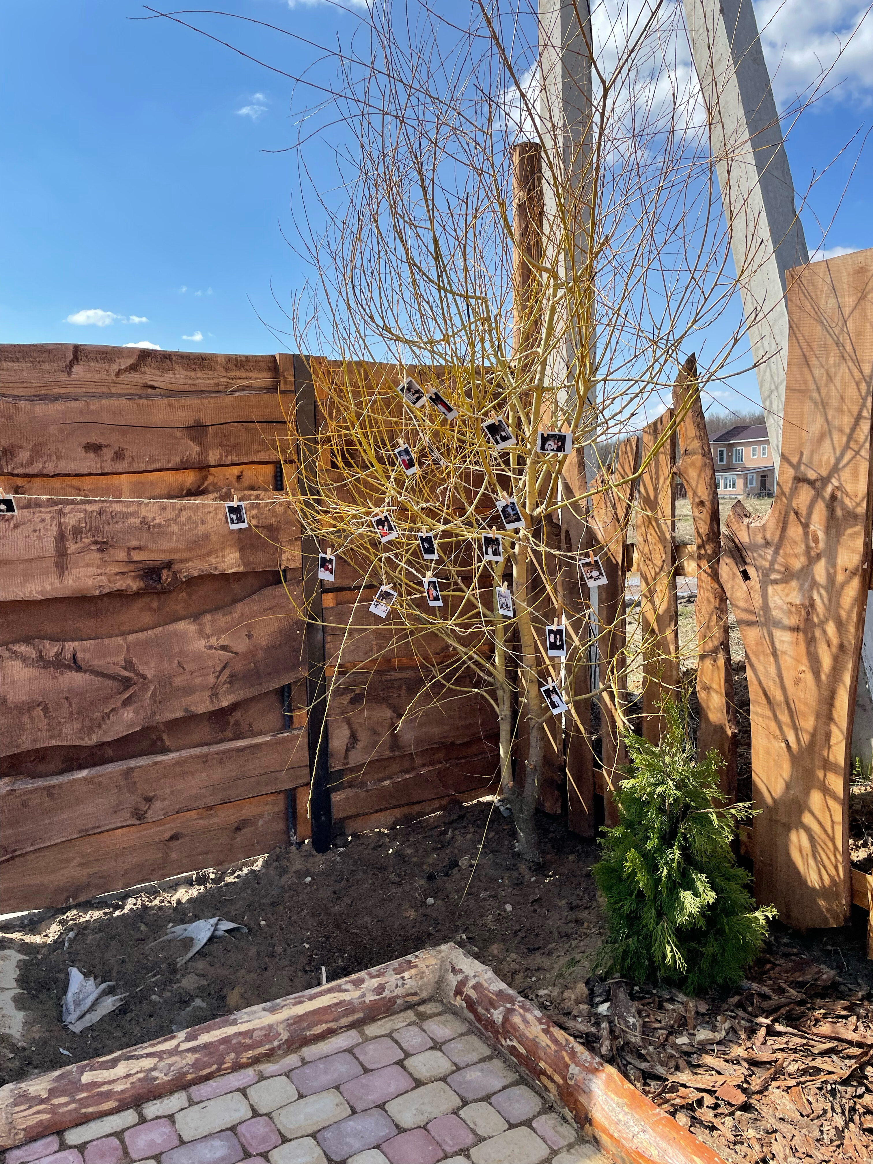 Фото Румянцево