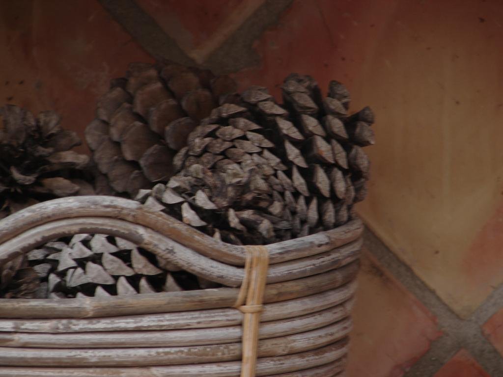 Фото Alojamiento Rural Huerto Del Francés